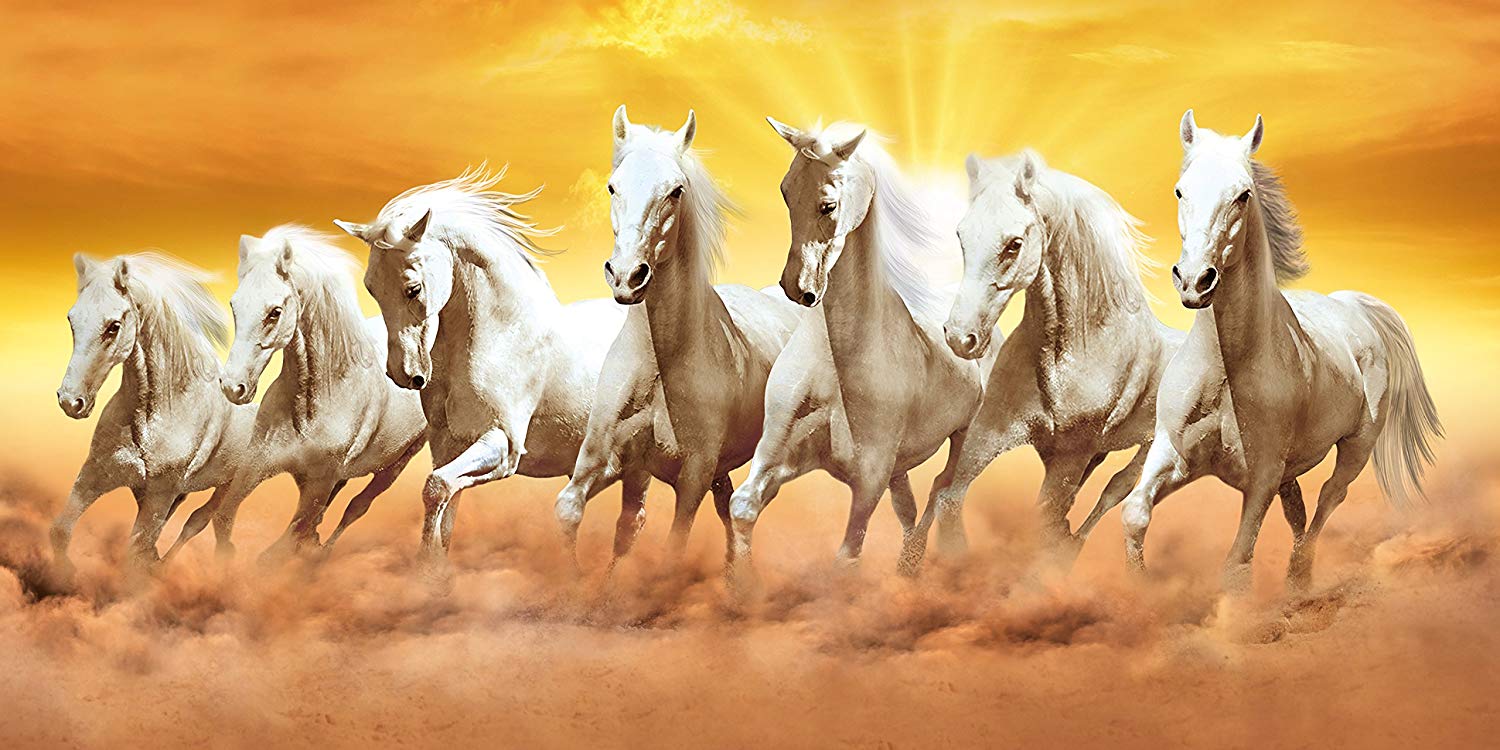 7 White Horse Wallpapers Wallpaper Cave