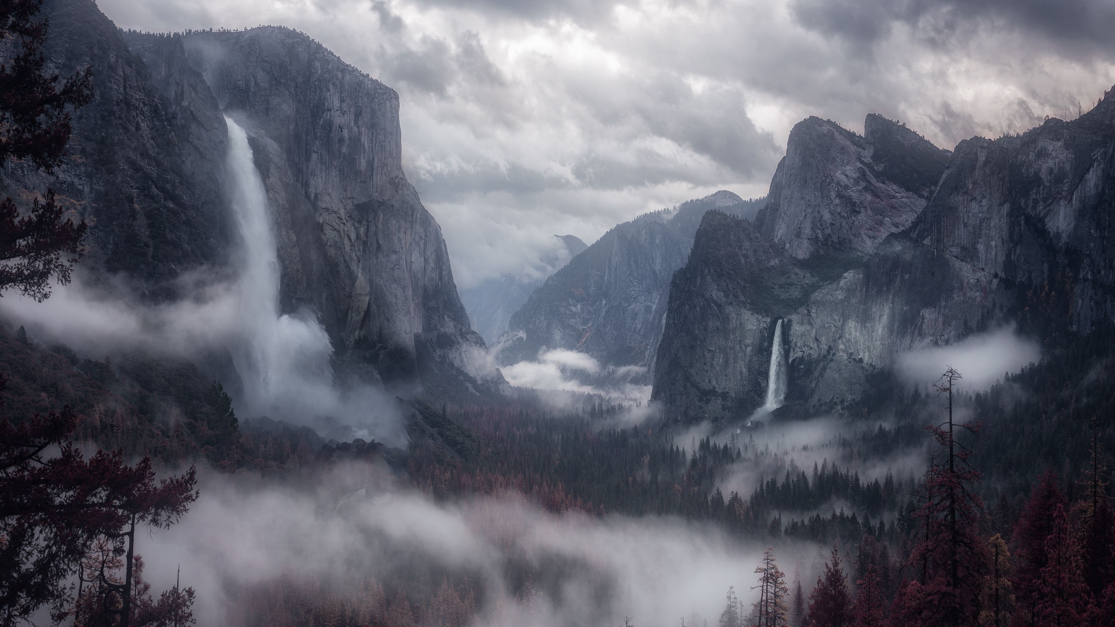 Fog 4k Wallpapers Wallpaper Cave