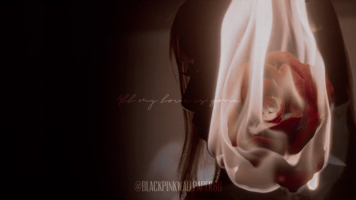 Rosè Gone Wallpapers Wallpaper Cave