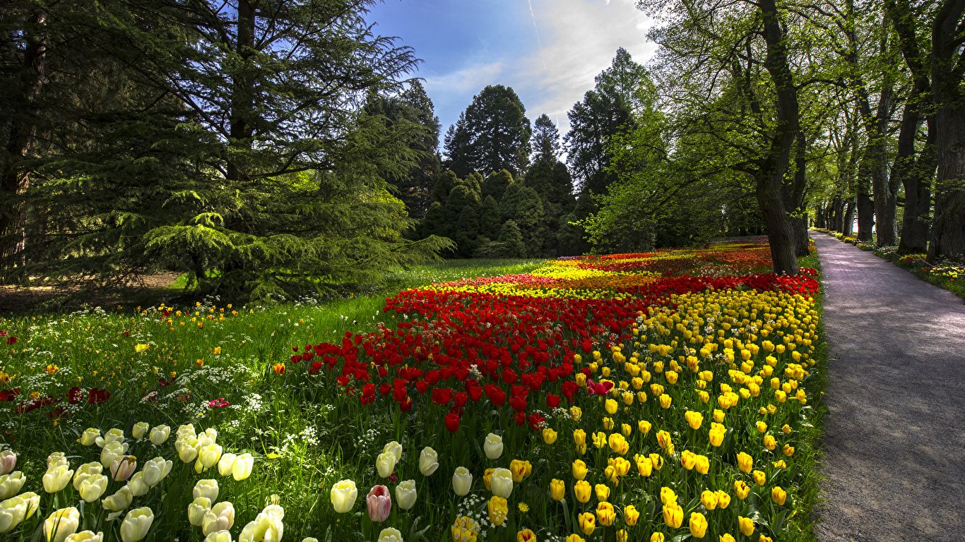 Germany Spring Wallpapers Wallpaper Cave