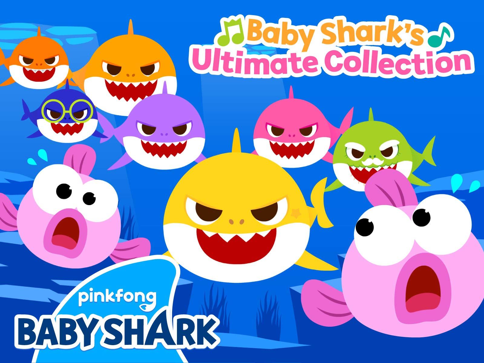 Baby Shark 4k Wallpapers Wallpaper Cave