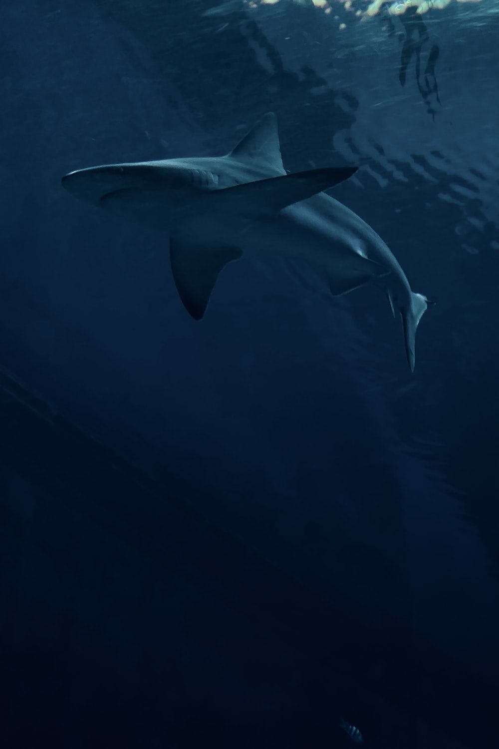 Black Shark 4 Wallpapers Wallpaper Cave