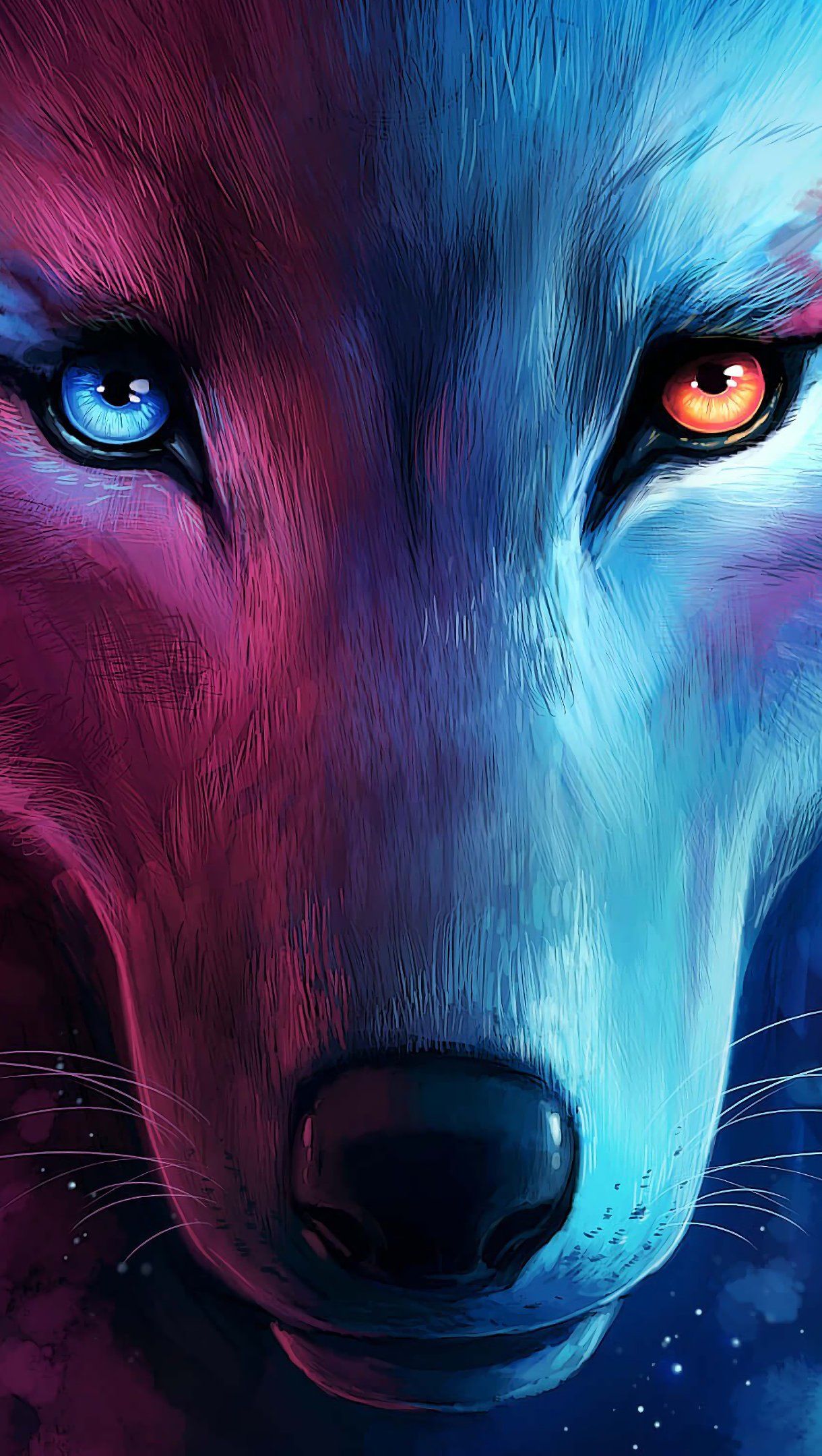 Wolf Color Wallpapers Wallpaper Cave