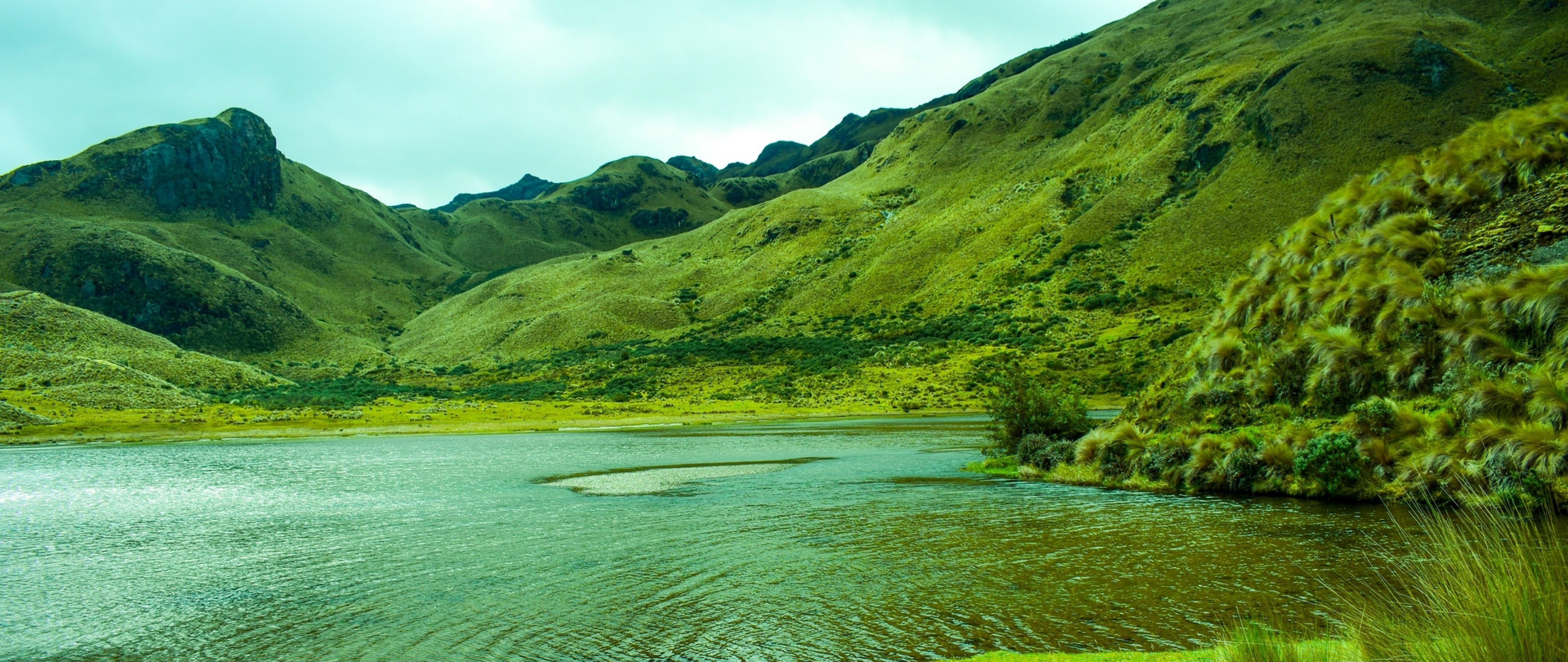 Nature 4k Green Wallpapers Wallpaper Cave