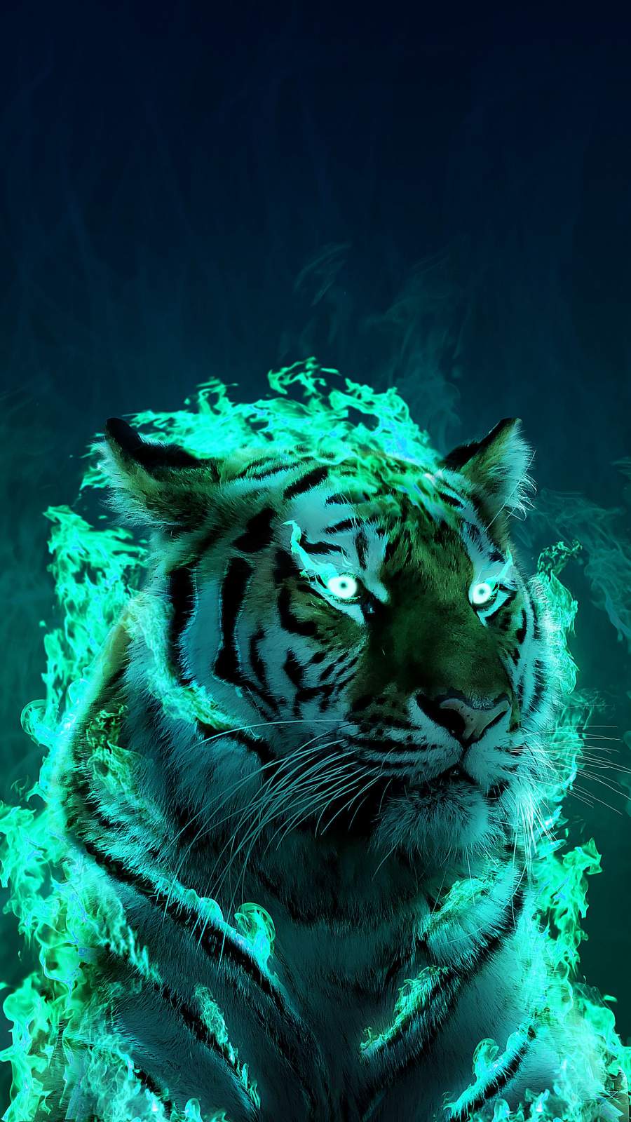 Tiger Aesthetic Wallpapers Wallpaper Cave