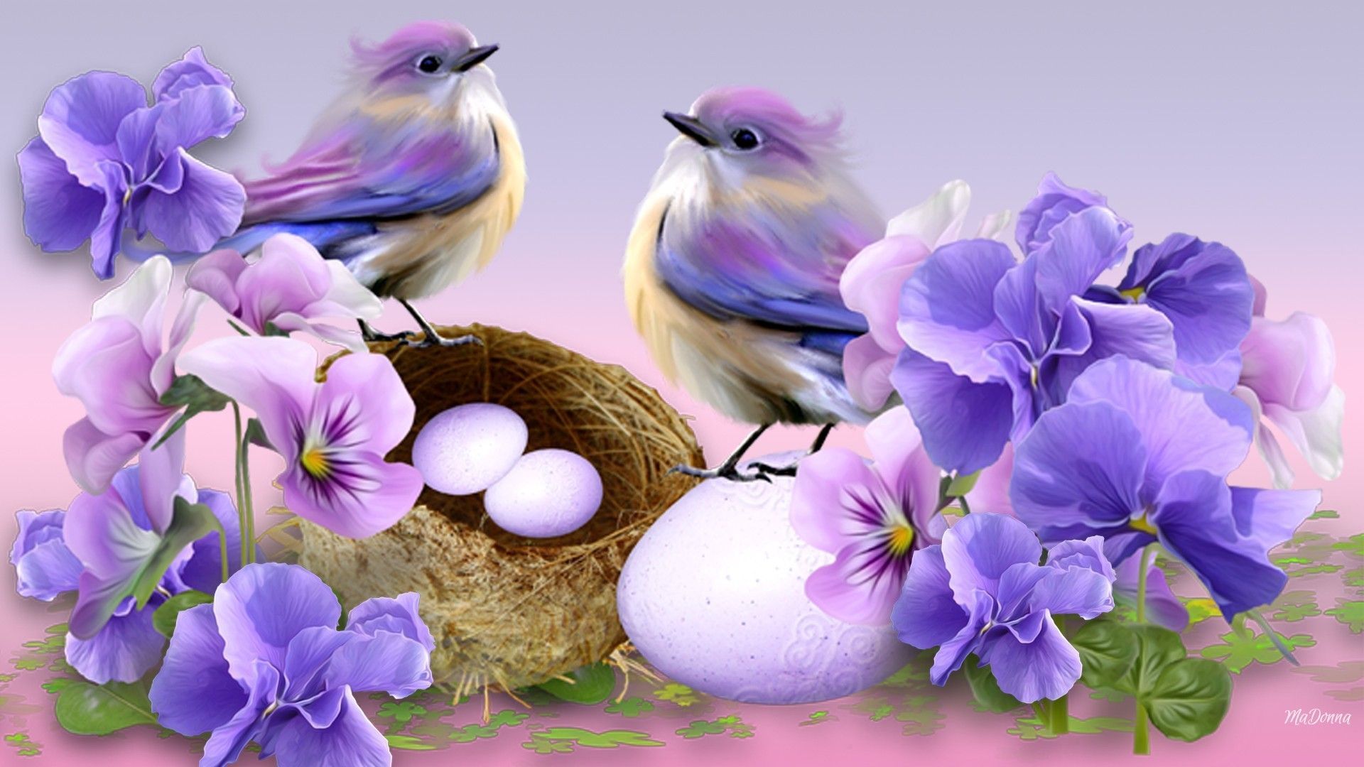 Lovely Birds And Flowers Wallpapers Wallpaper Cave