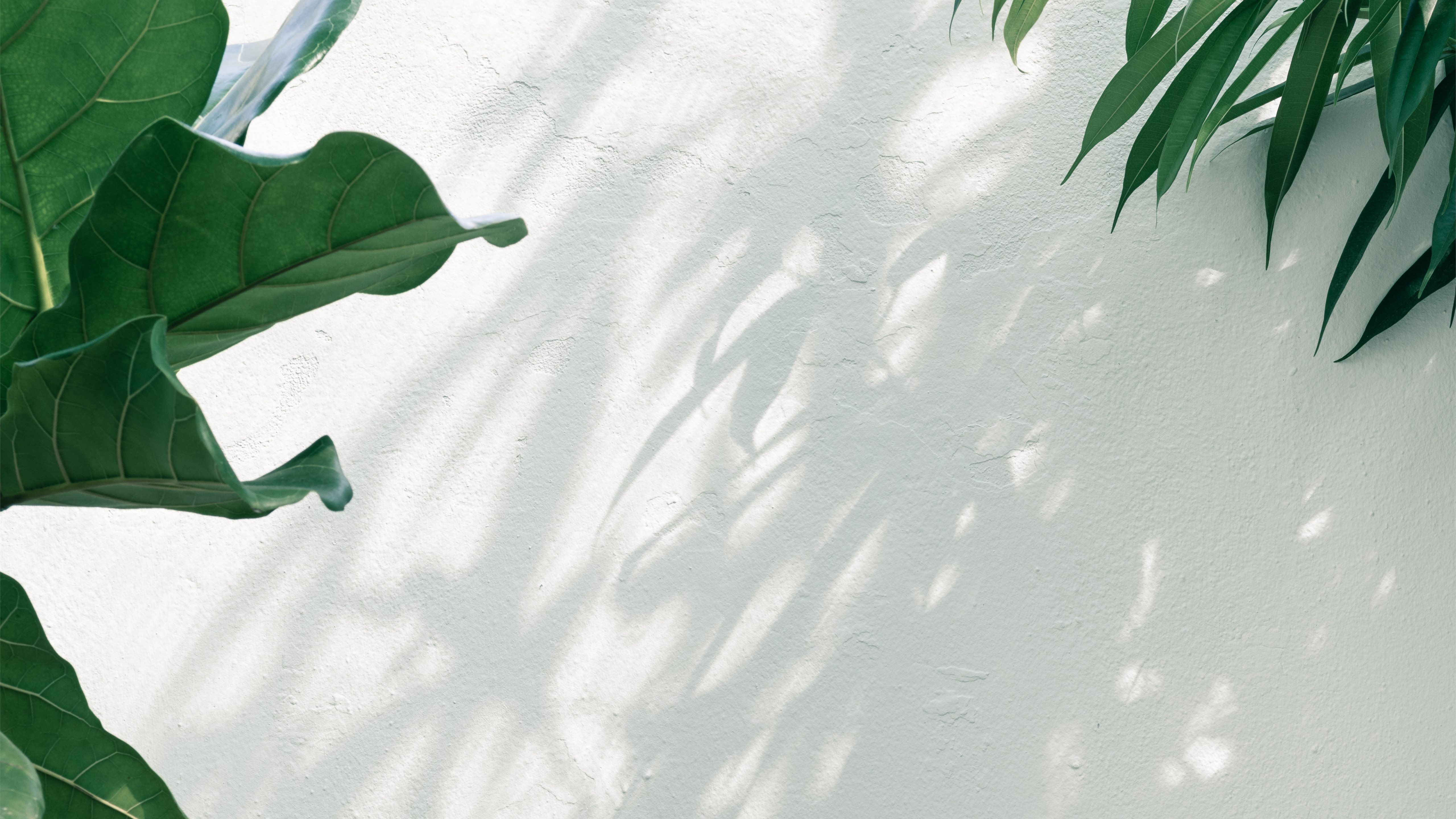 Warm Aesthetic Wallpaper