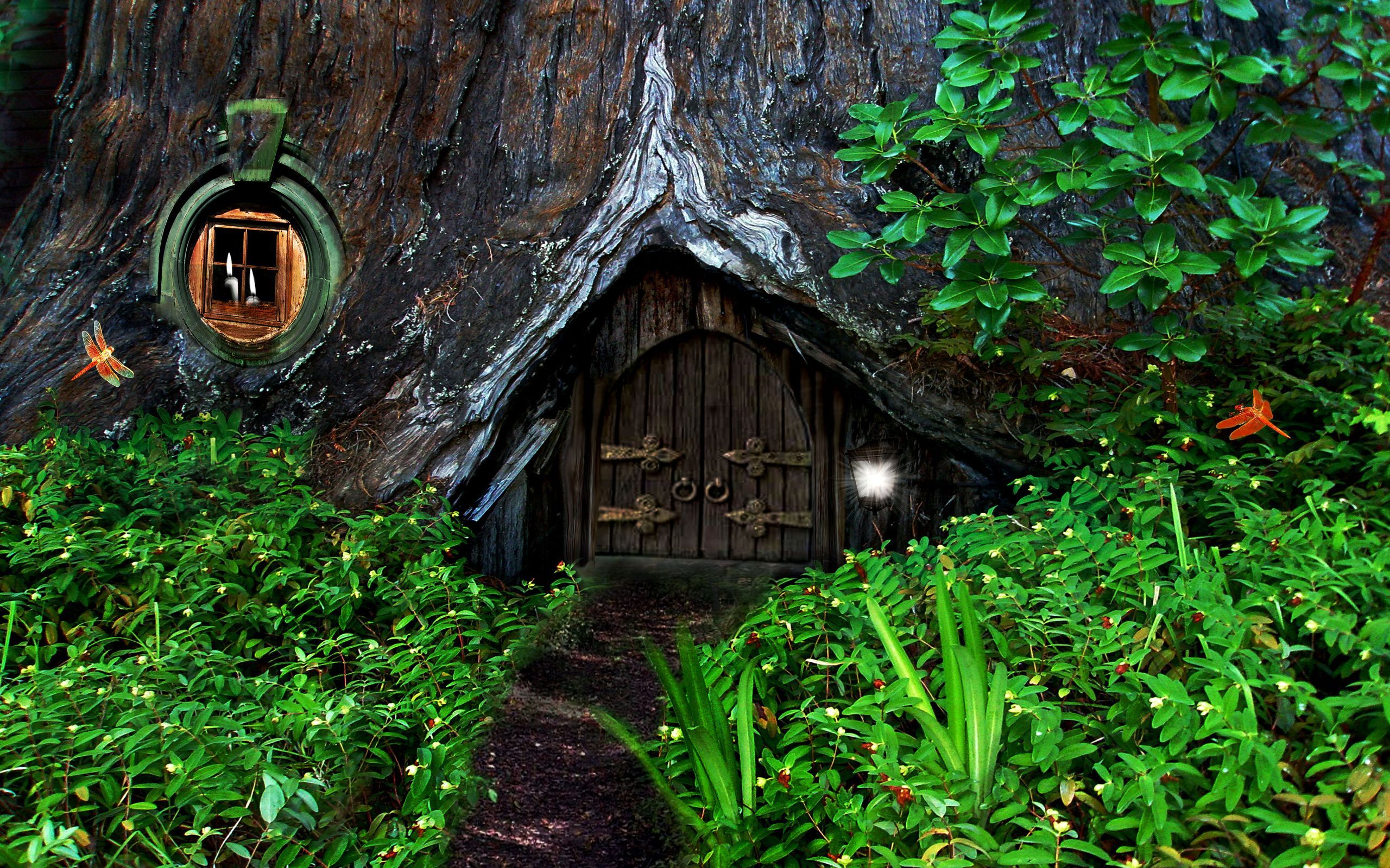Magic Tree House Wallpapers Wallpaper Cave