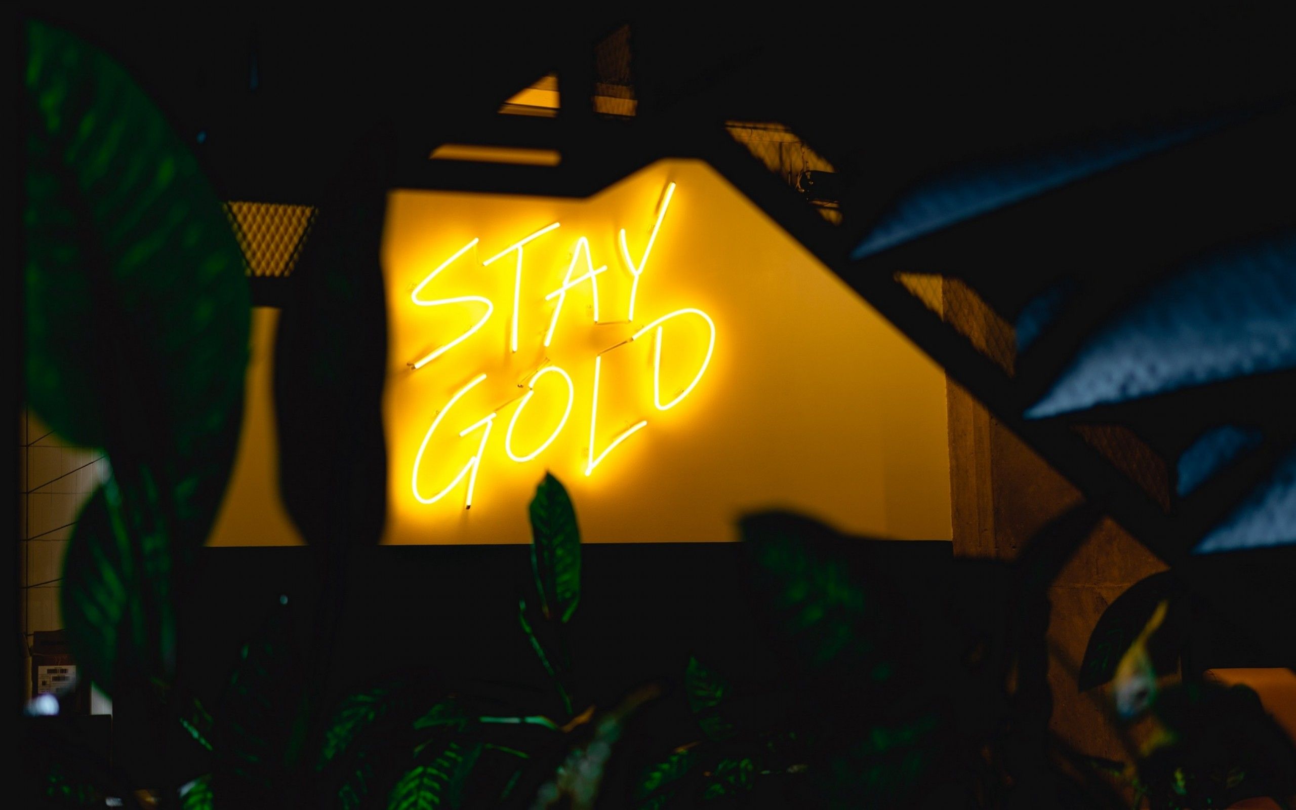 Yellow Neon Lights Wallpapers Wallpaper Cave