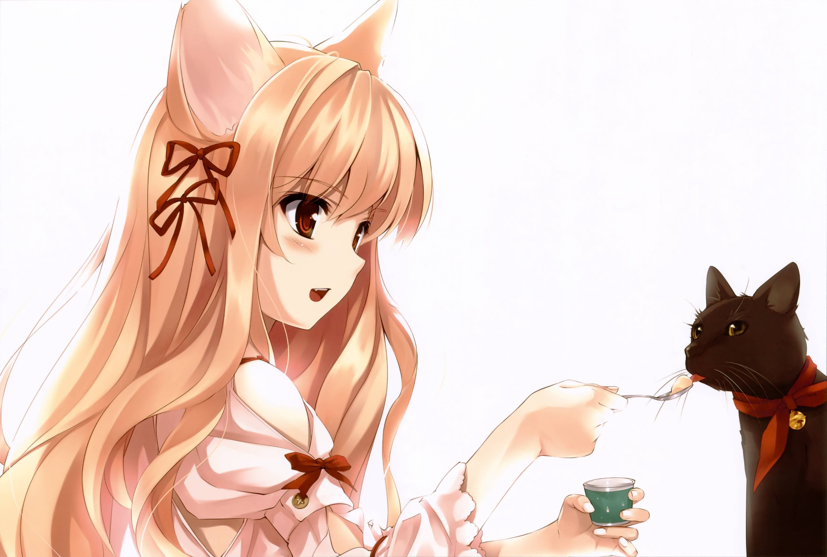 Anime Girl With Cat Wallpapers Wallpaper Cave