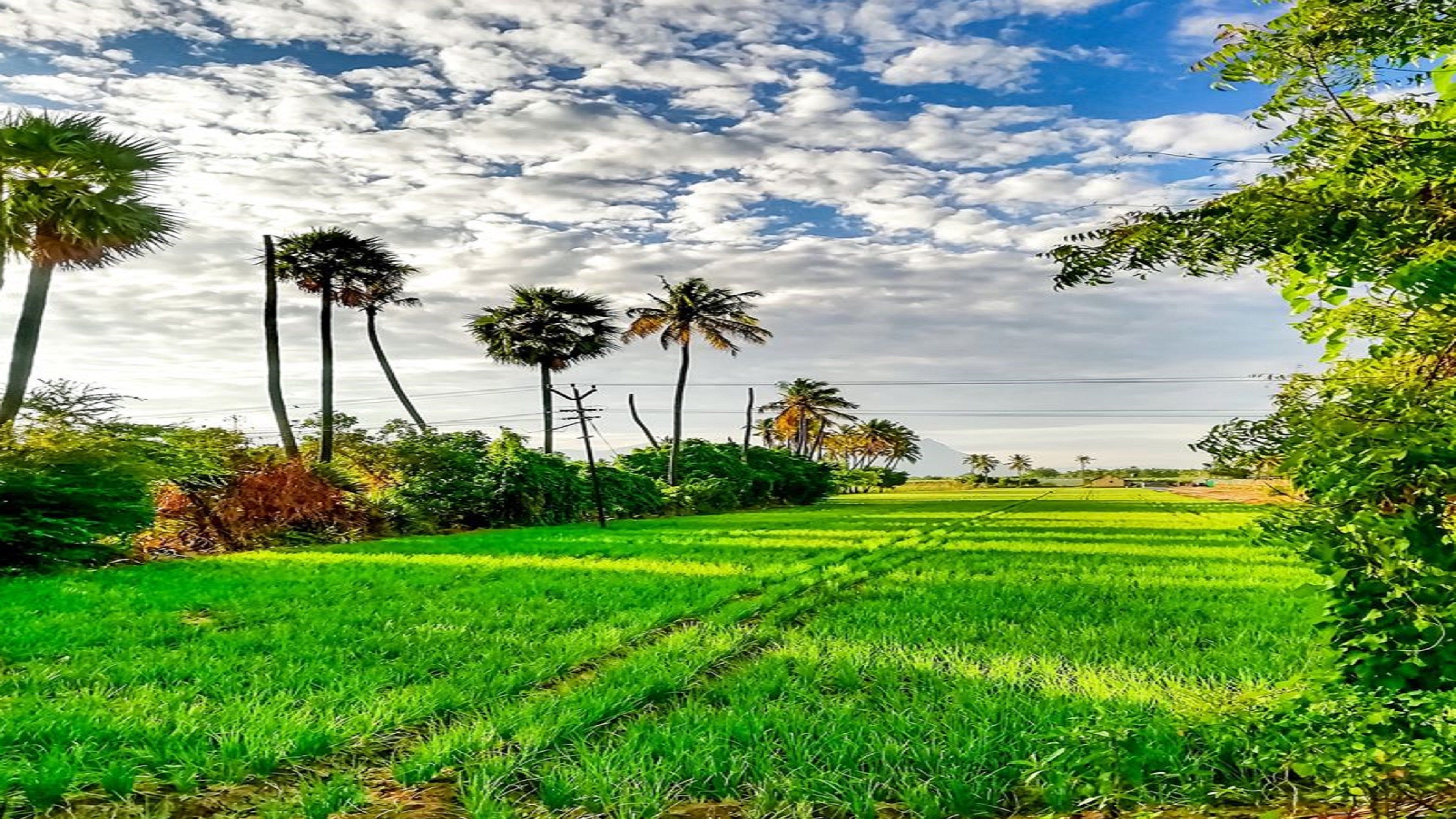 4k Ultra HD Environment Wallpapers Wallpaper Cave