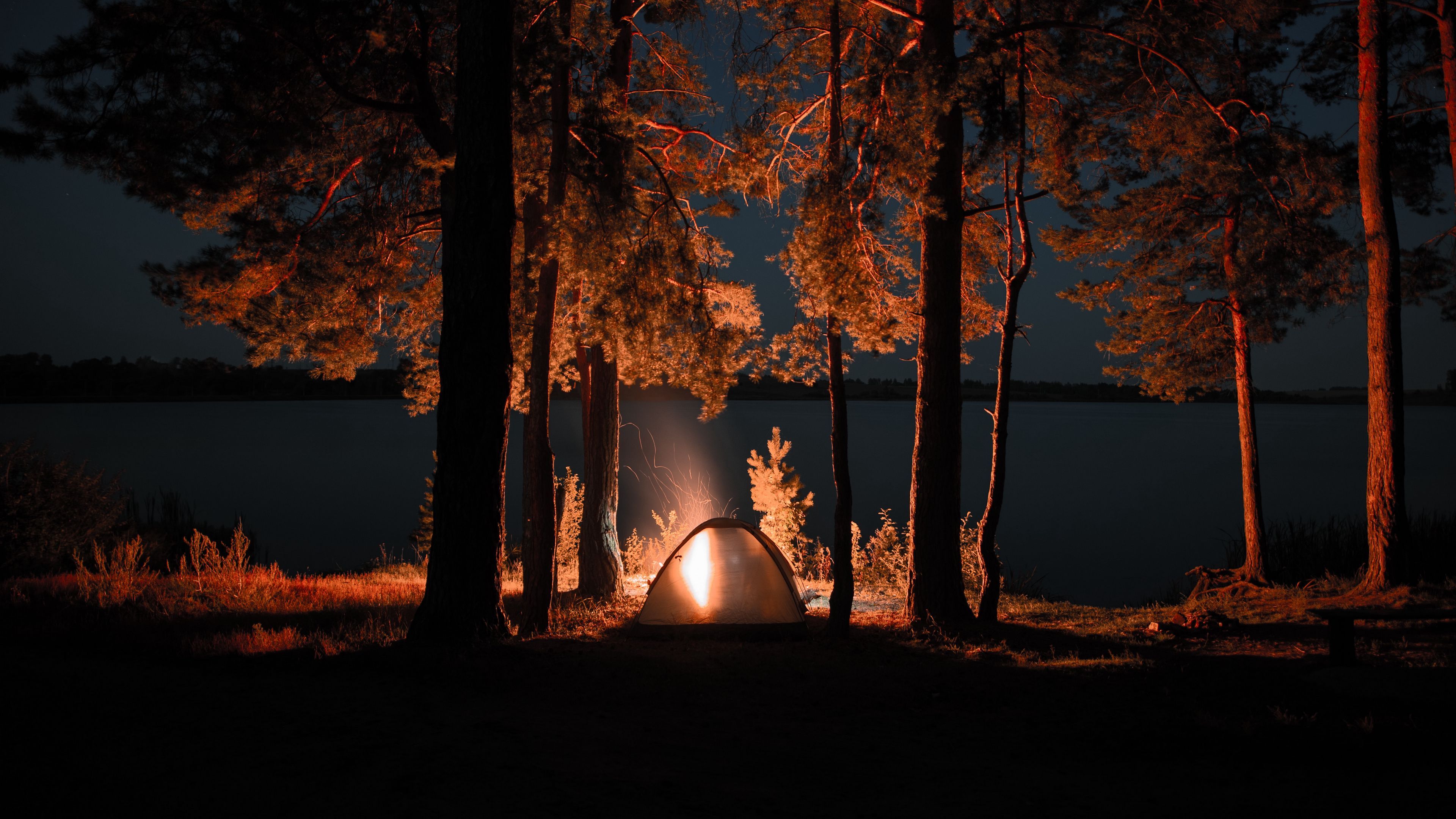 Forest Camping 4k Wallpapers Wallpaper Cave