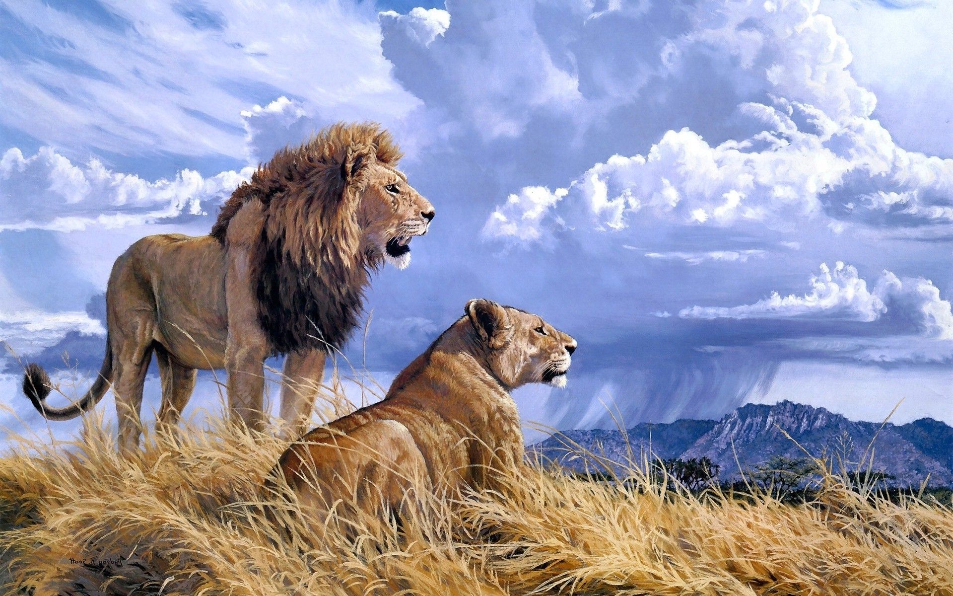 Lion And Lioness Wallpaper