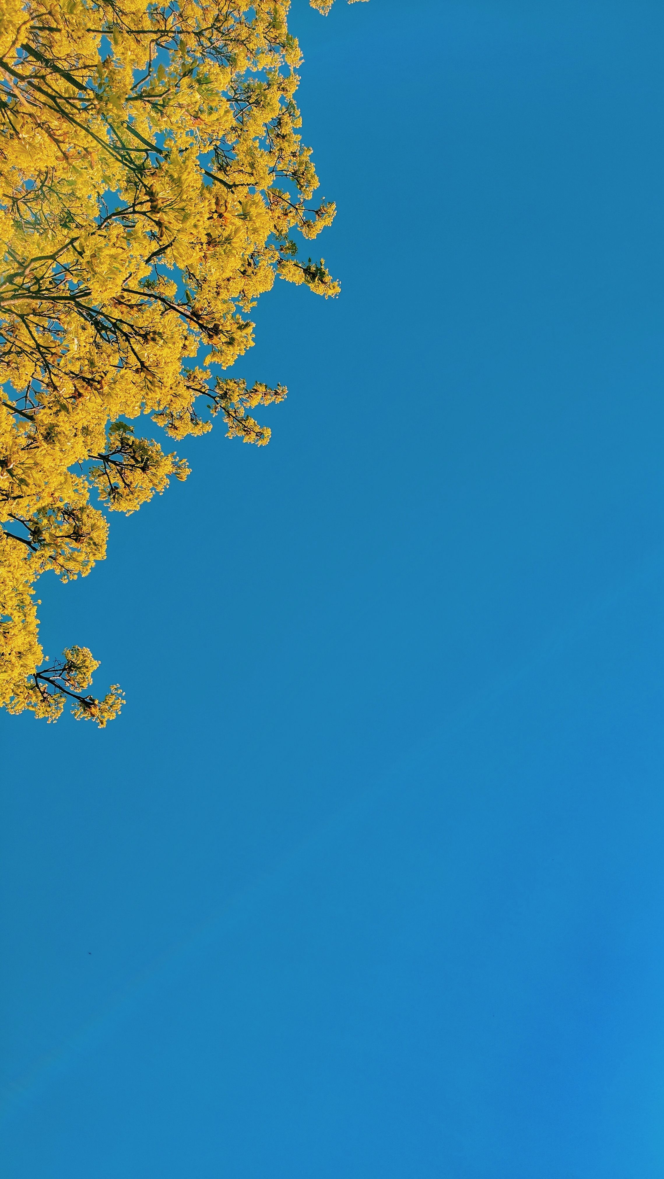 Aesthetic Blue And Yellow HD Wallpapers Wallpaper Cave