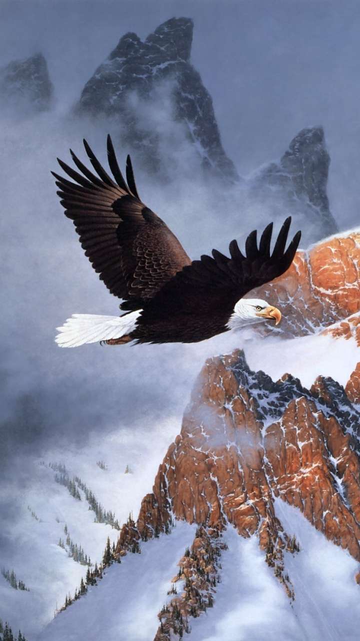 Eagle iPhone 4k Wallpapers Wallpaper Cave