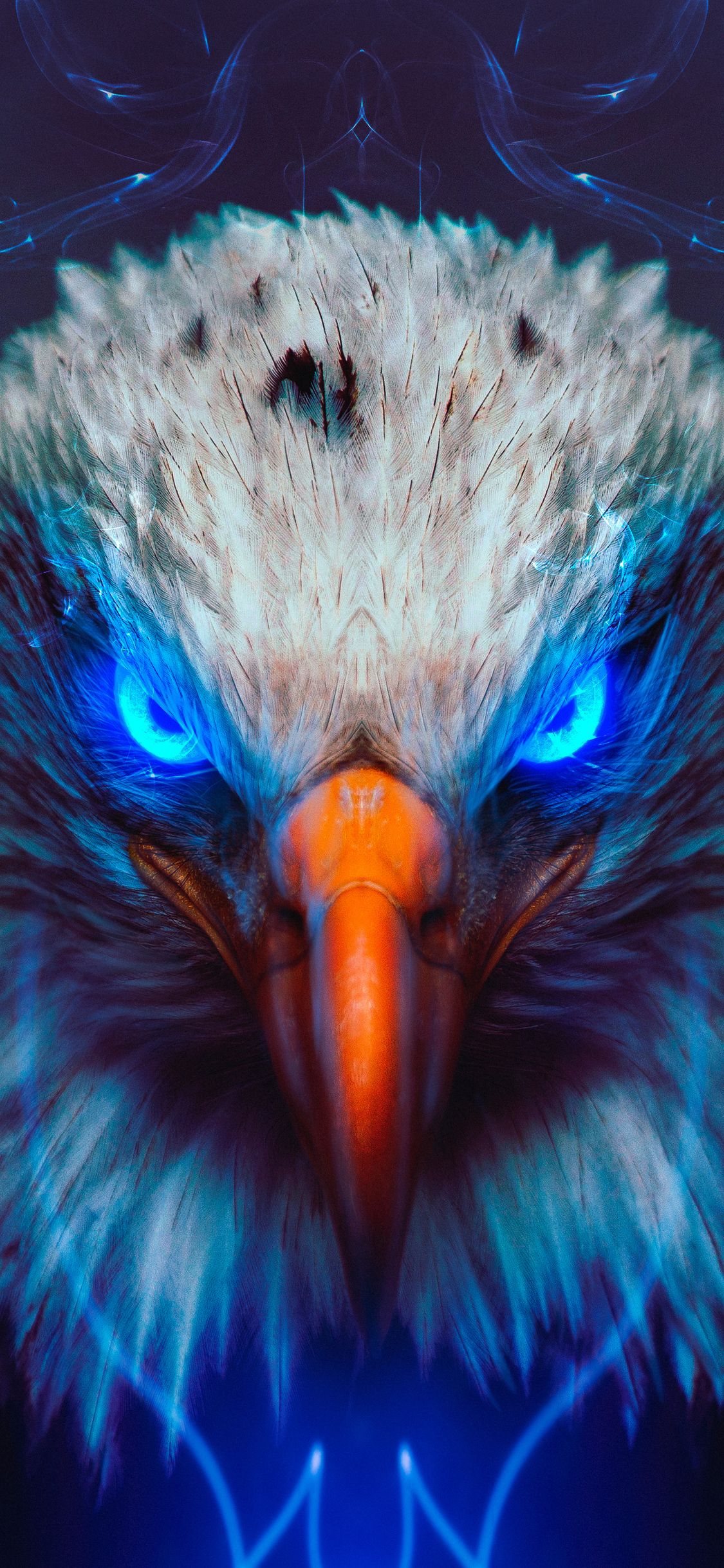 Eagle iPhone 4k Wallpapers Wallpaper Cave