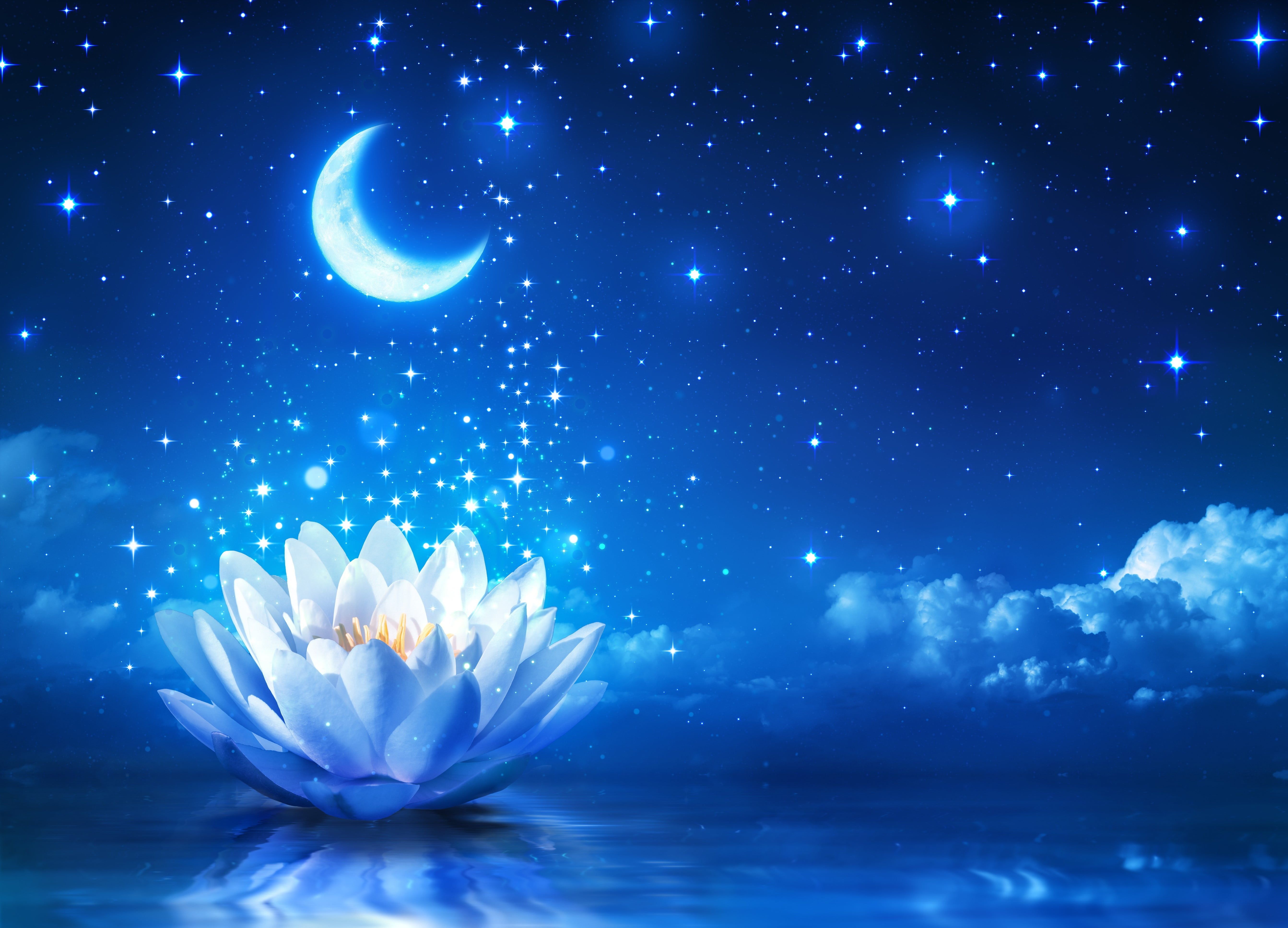 Blue Lotus Wallpapers Wallpaper Cave