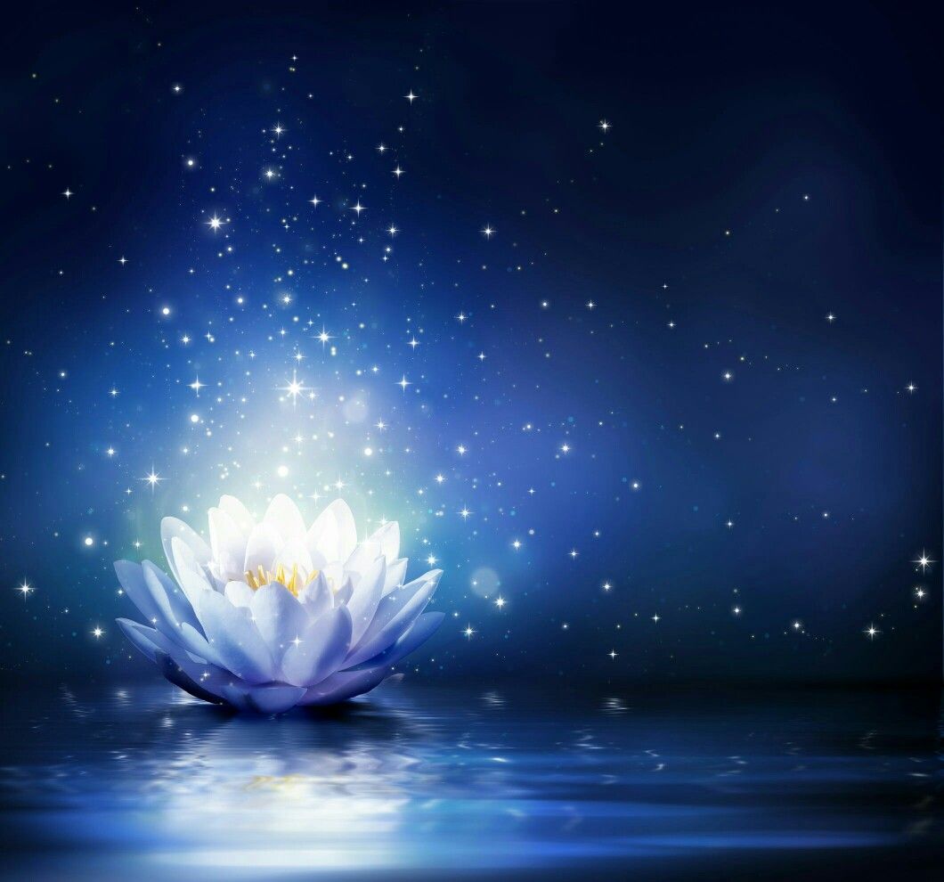Blue Lotus Wallpapers Wallpaper Cave