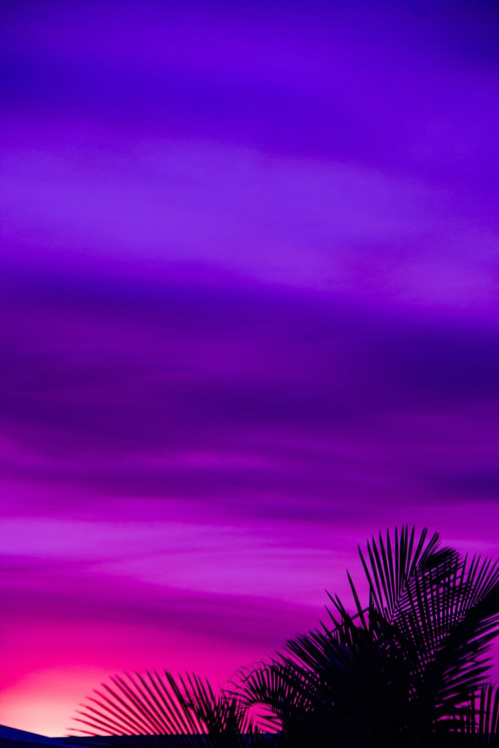 Violet Colour Wallpapers Wallpaper Cave