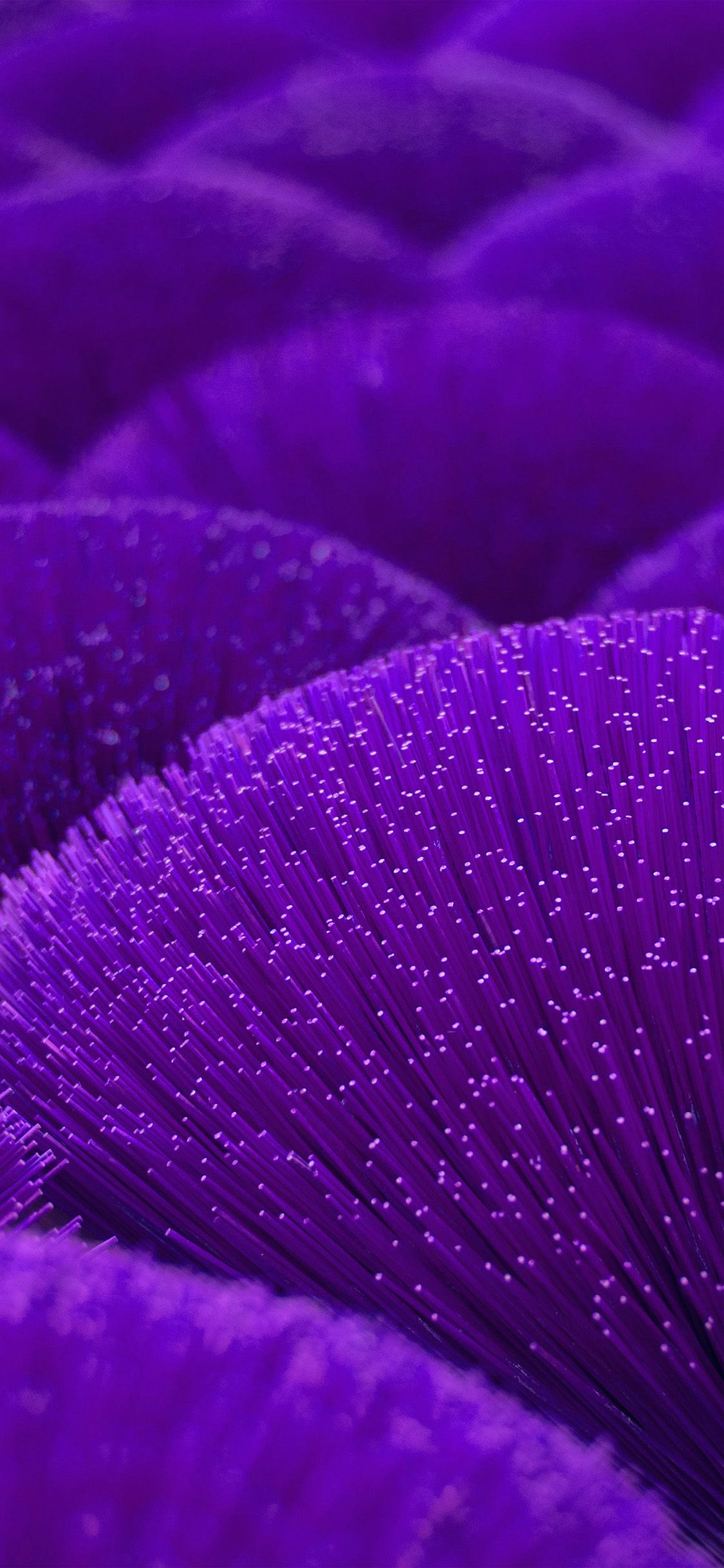 Iphone 12 Purple Wallpaper