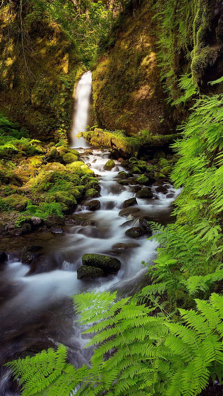 Cool Vertical 4k Wallpapers Wallpaper Cave