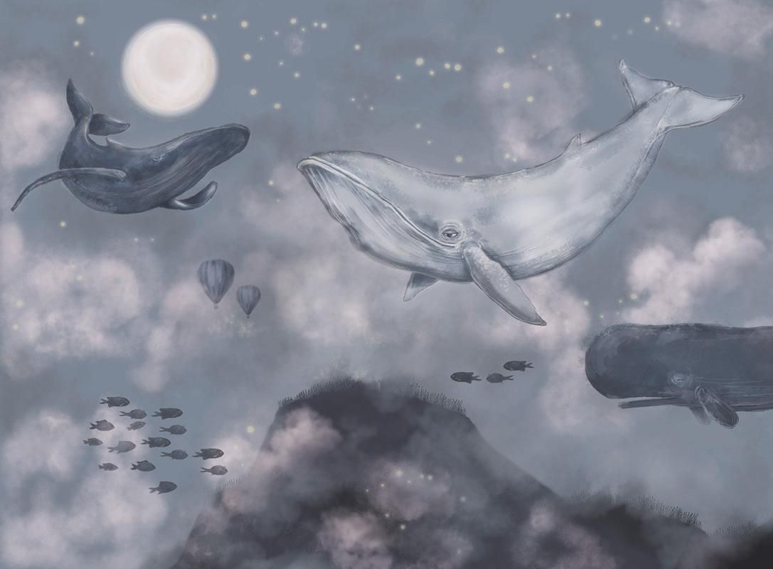 Sky Whales Wallpapers Wallpaper Cave
