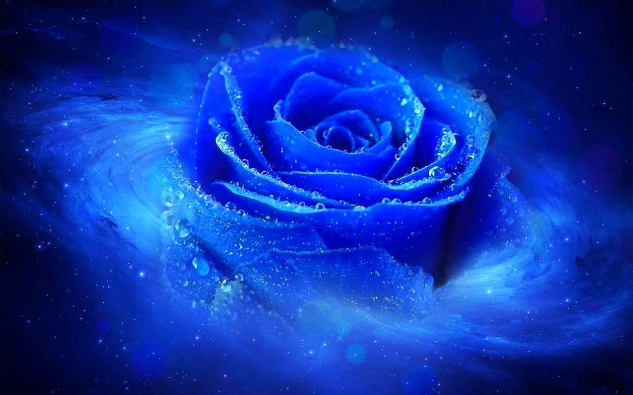 Galaxy Flower Wallpapers Wallpaper Cave