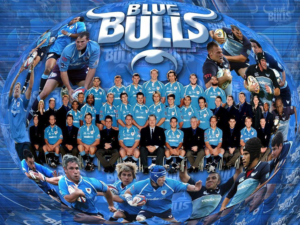 Blue Bulls Wallpapers Wallpaper Cave