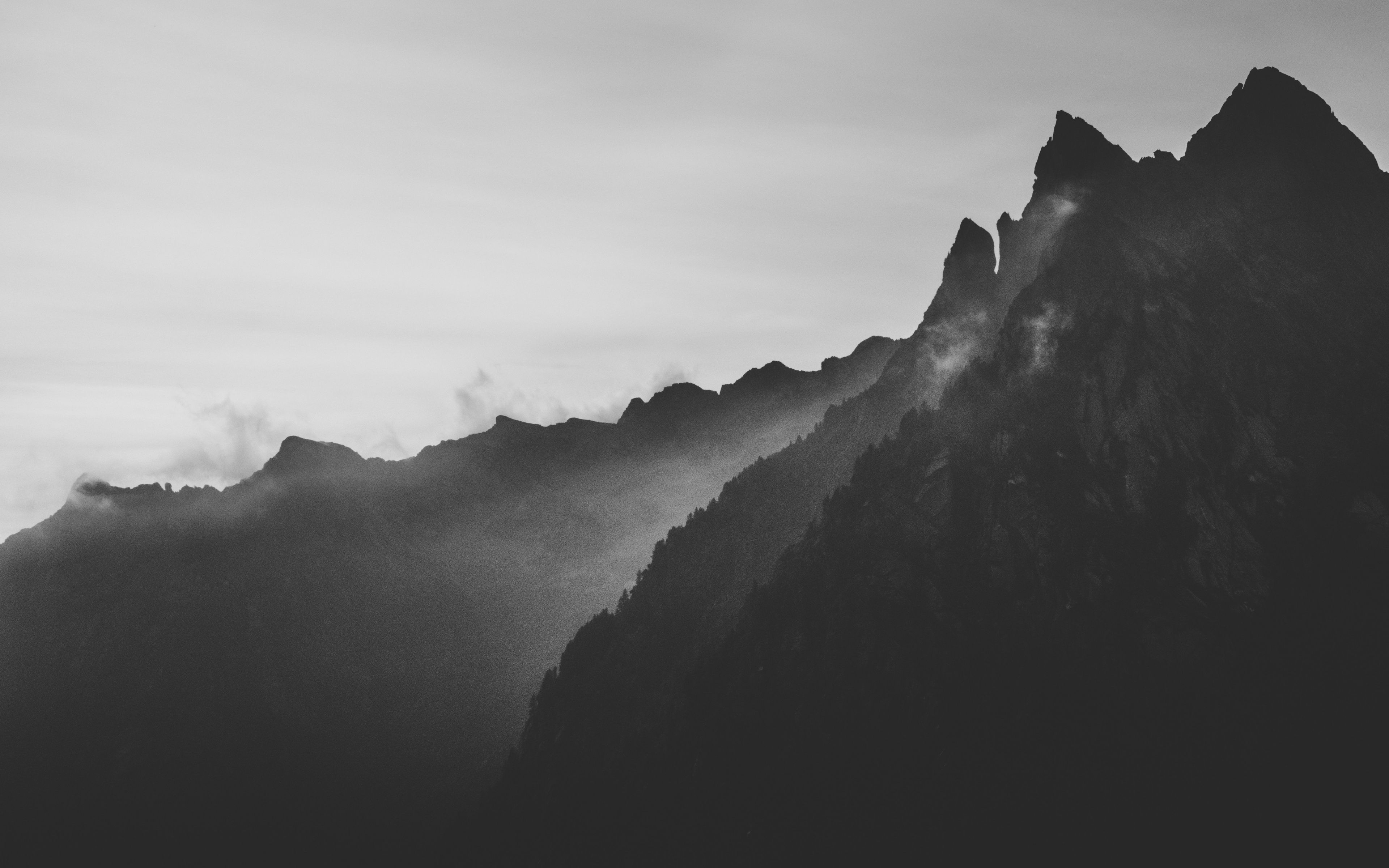 Dark Nature Wallpaper 4k