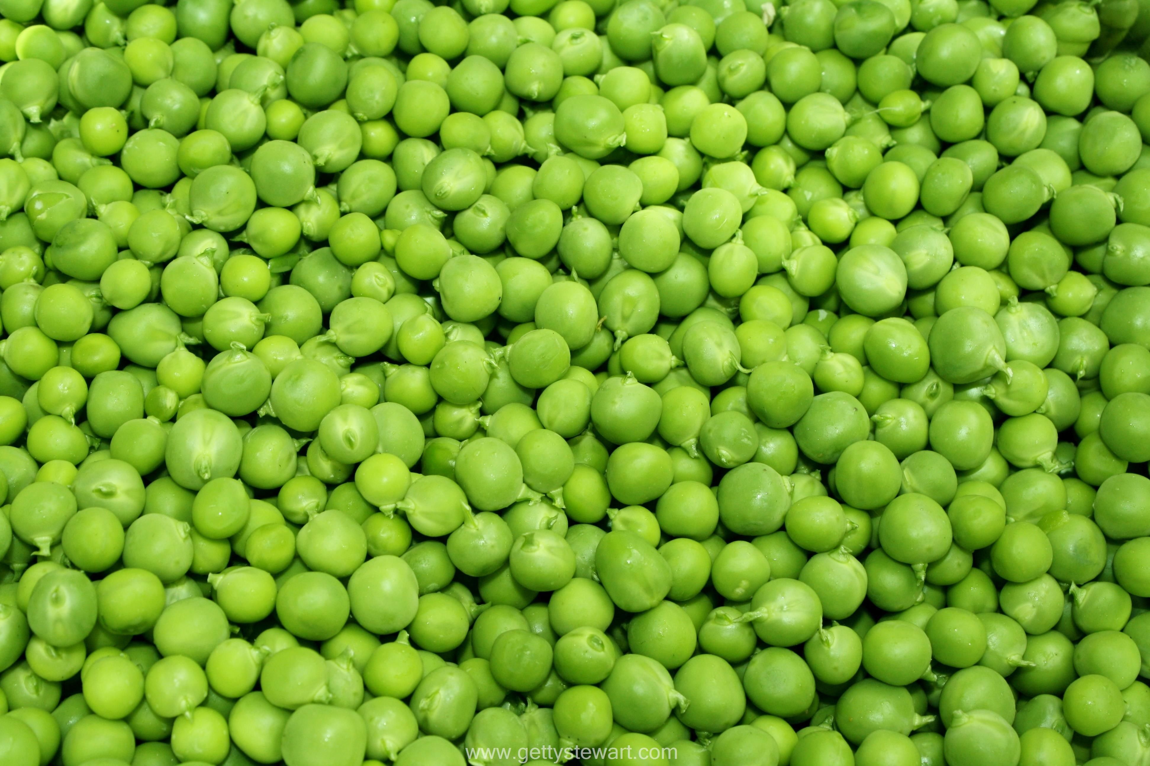 Green Peas Wallpapers Wallpaper Cave