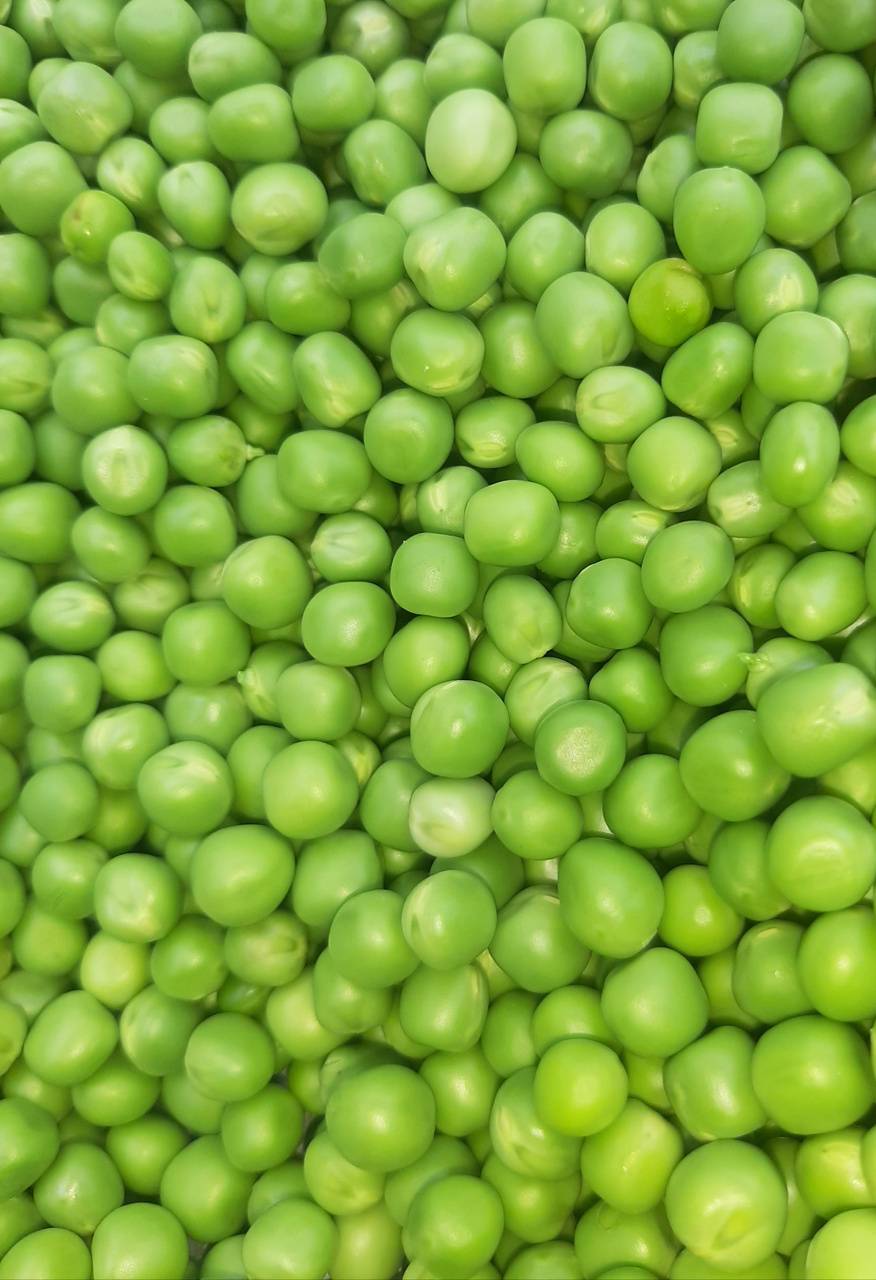 Green Peas Wallpapers Wallpaper Cave