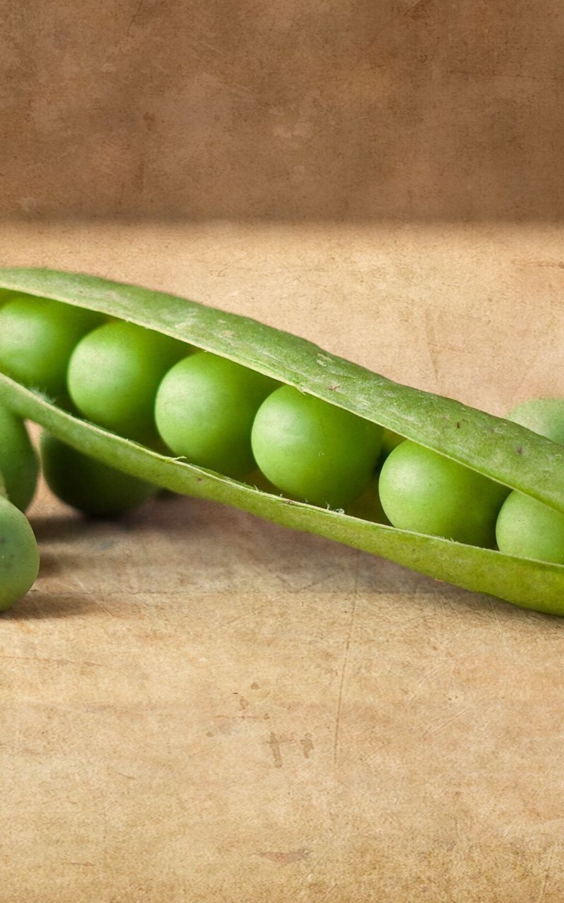 Green Peas Wallpapers Wallpaper Cave