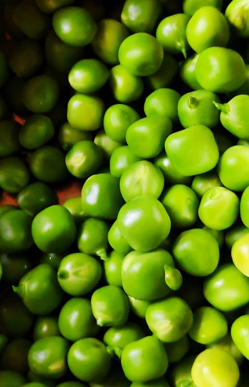 Green Peas Wallpapers Wallpaper Cave