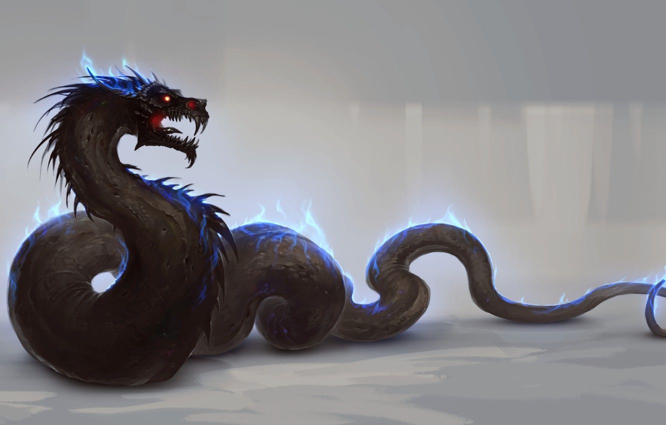 Glow Dragons Wallpapers Wallpaper Cave