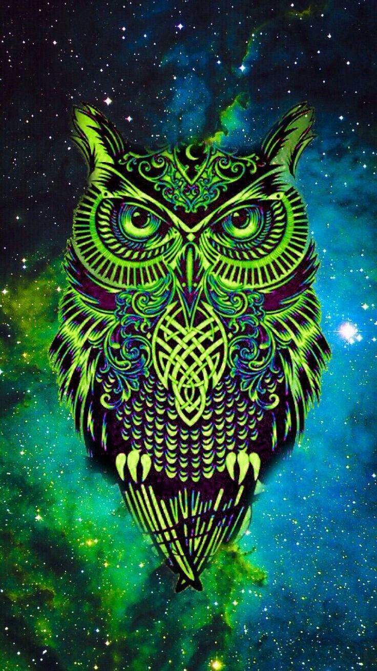 Owl Art Wallpapers Wallpaper Cave