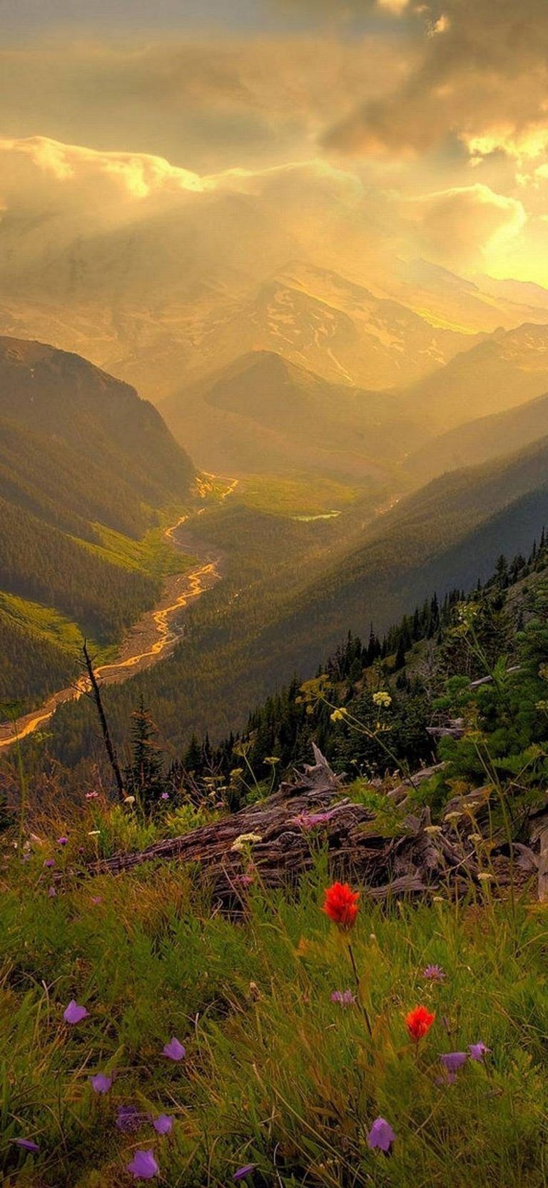 2021 Best Mobile Wallpapers Wallpaper Cave