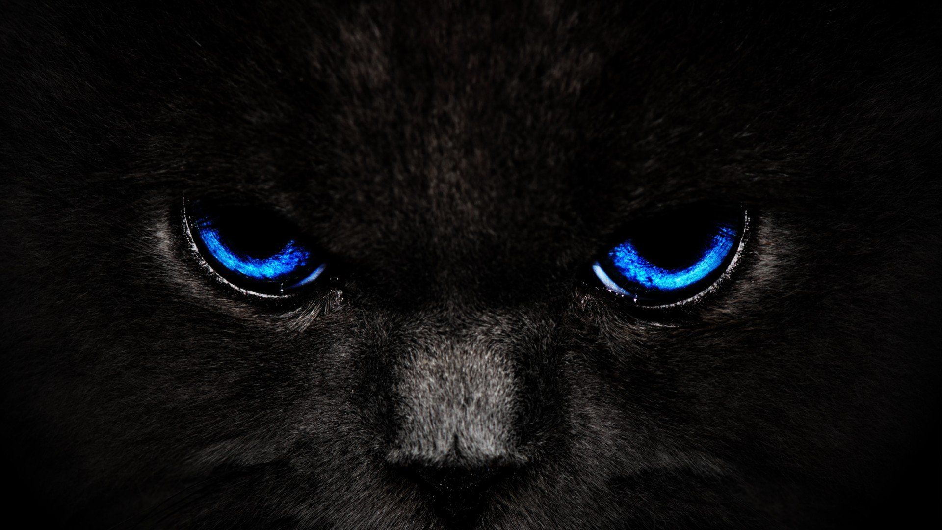 Red And Blue Eyes Wallpapers Wallpaper Cave