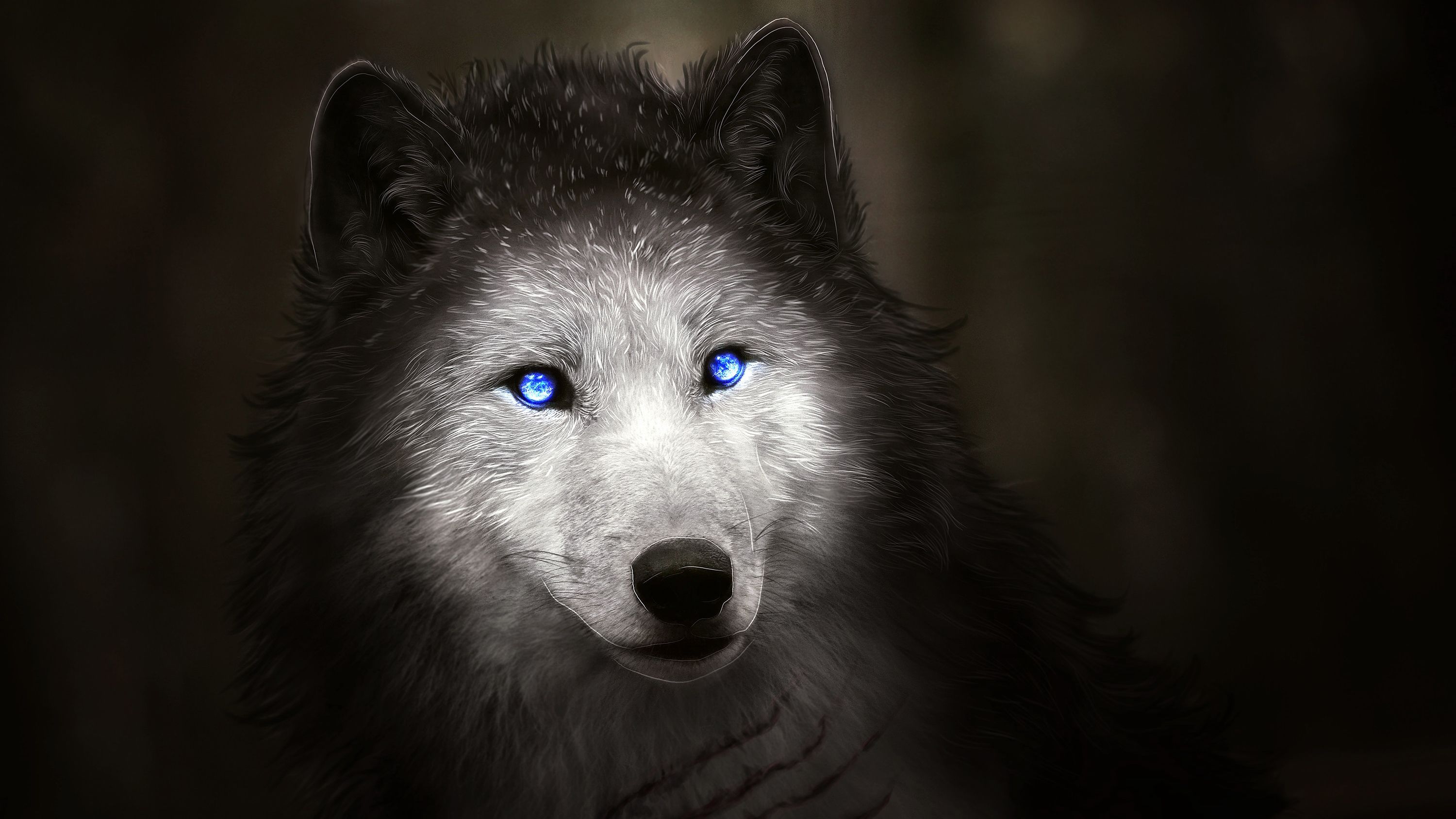 Red And Blue Eyes Wallpapers Wallpaper Cave