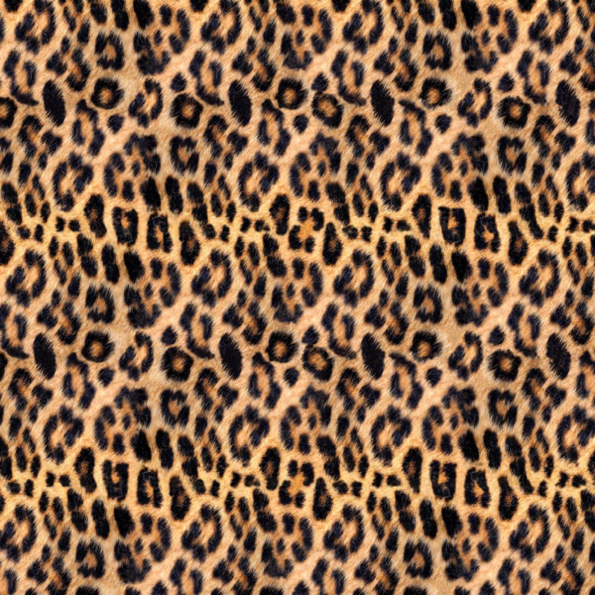 Leopard Skin Wallpapers Wallpaper Cave