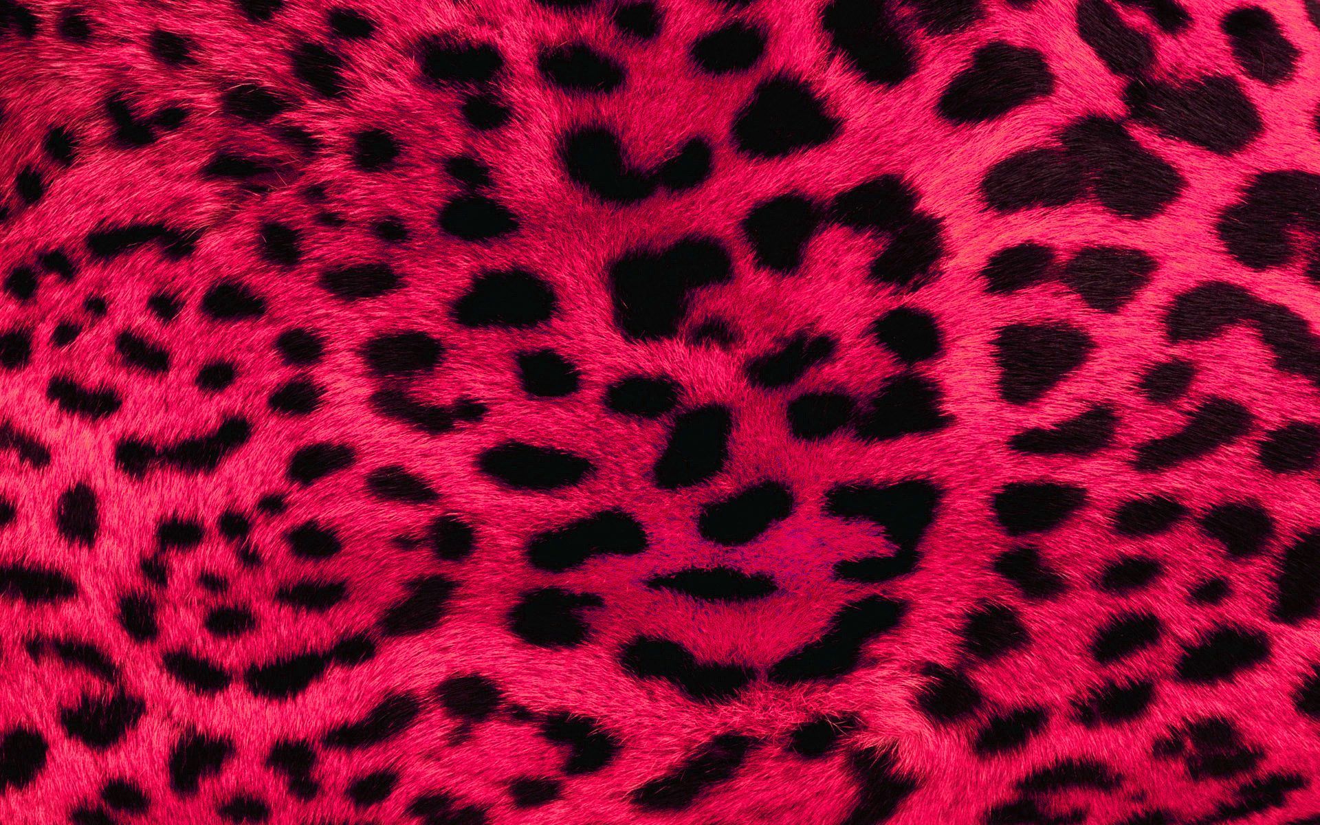 Pink Cheetah Wallpapers Wallpaper Cave