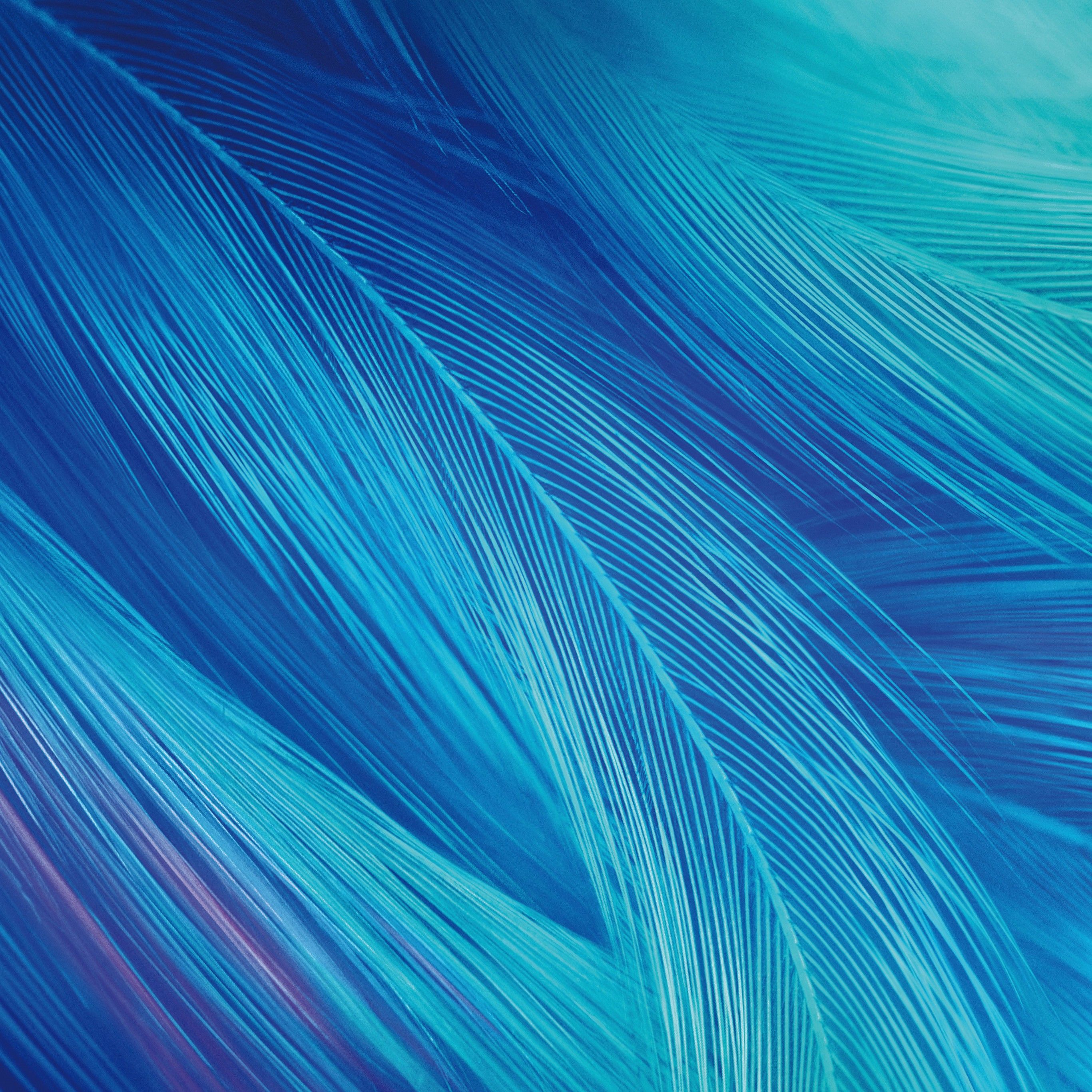 Teal Abstract Hd Wallpaper