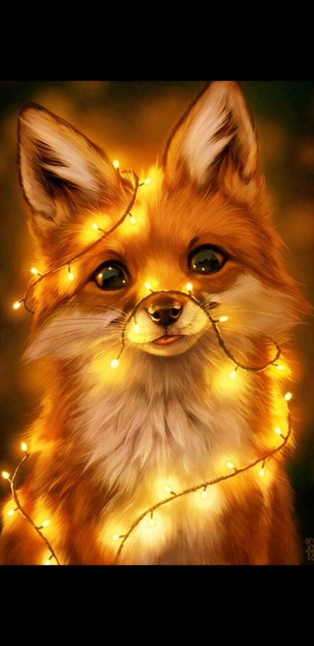 Orange Fox Wallpapers Wallpaper Cave