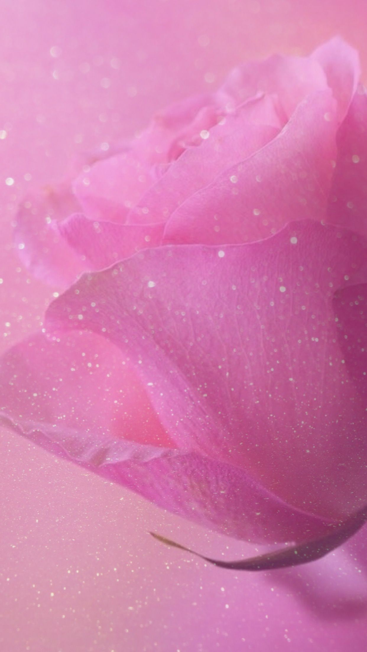 Glitter Floral Wallpapers Wallpaper Cave