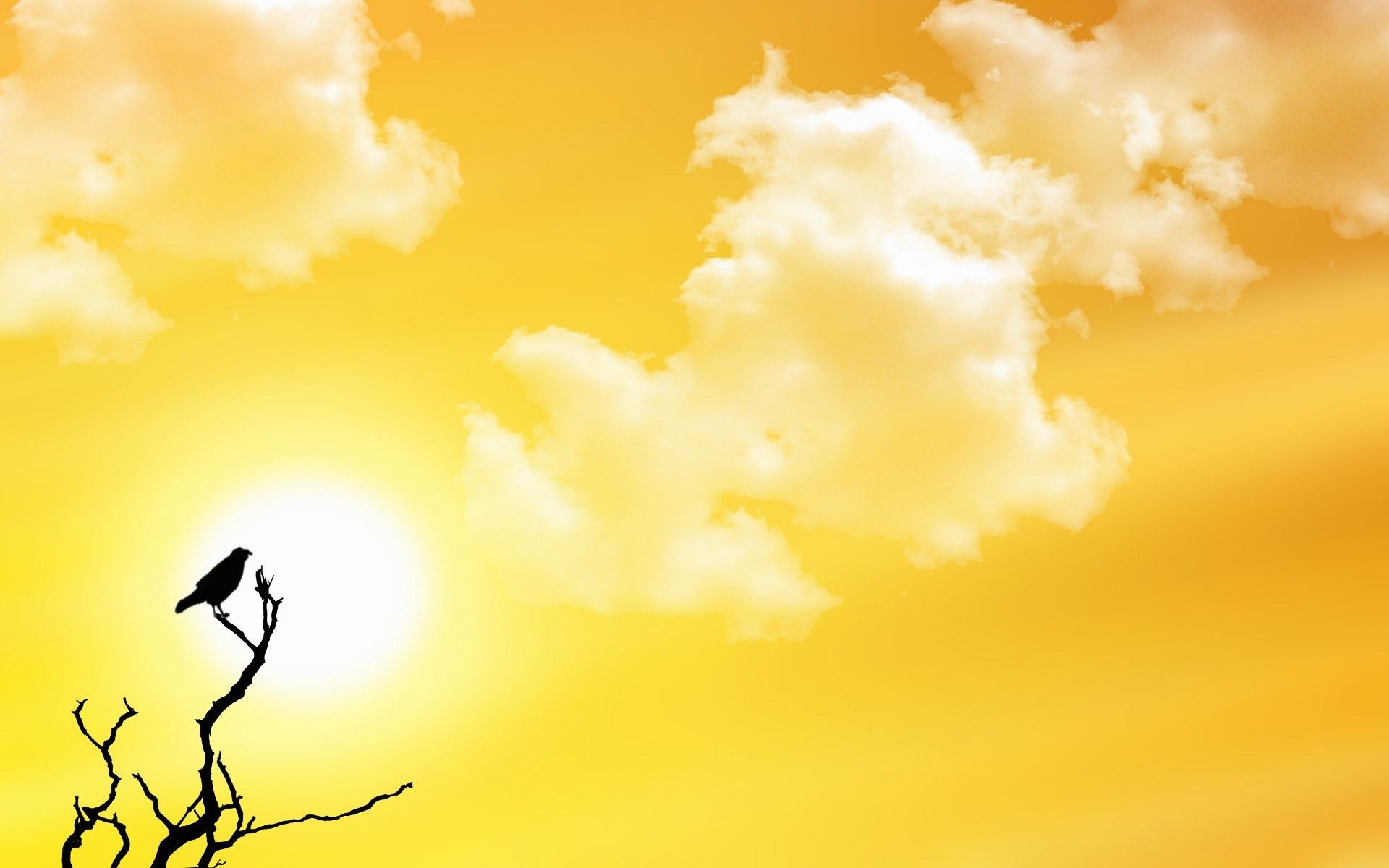 Yellow Sunset Wallpapers Wallpaper Cave