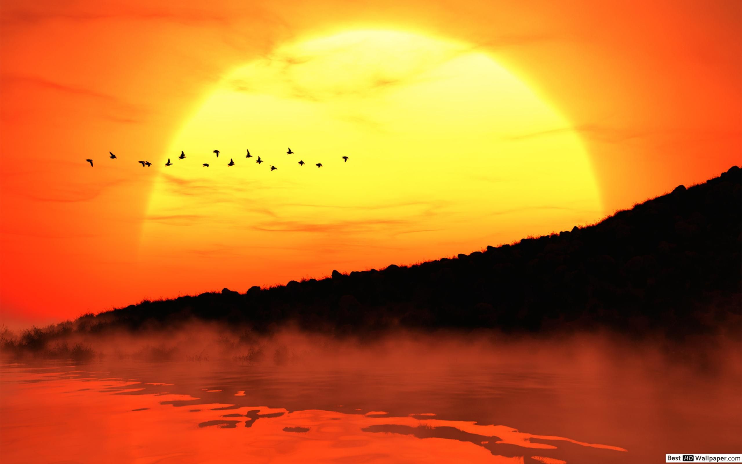 Yellow Sunset Wallpapers Wallpaper Cave