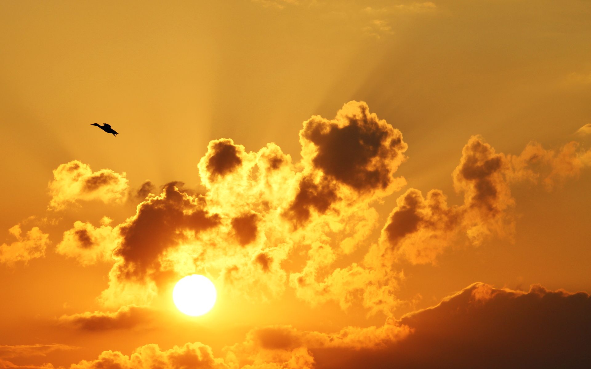 Yellow Sunset Wallpapers Wallpaper Cave