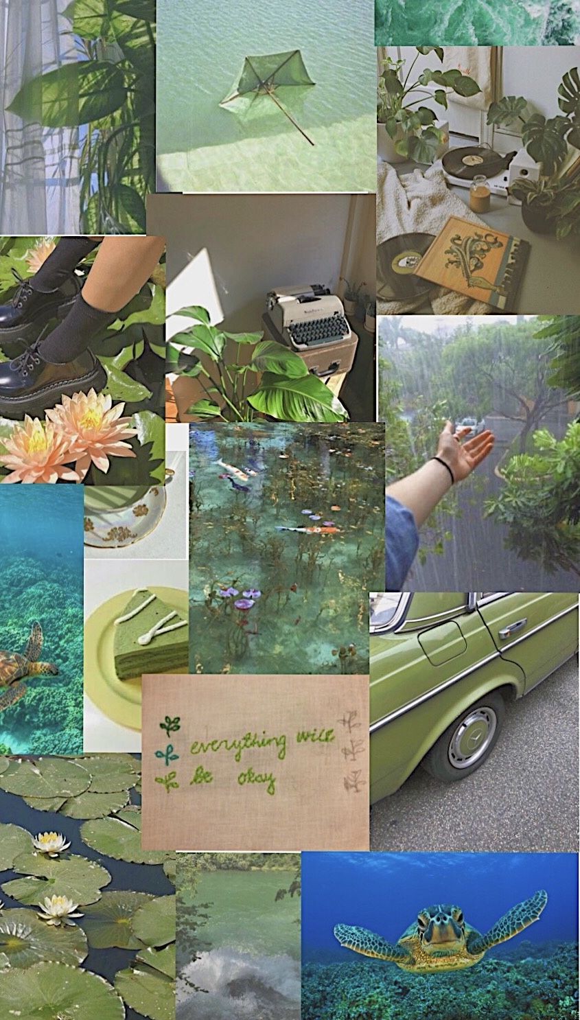 Sage Green Wallpapers Chromebook Sage Green By Vaalerialeandra In