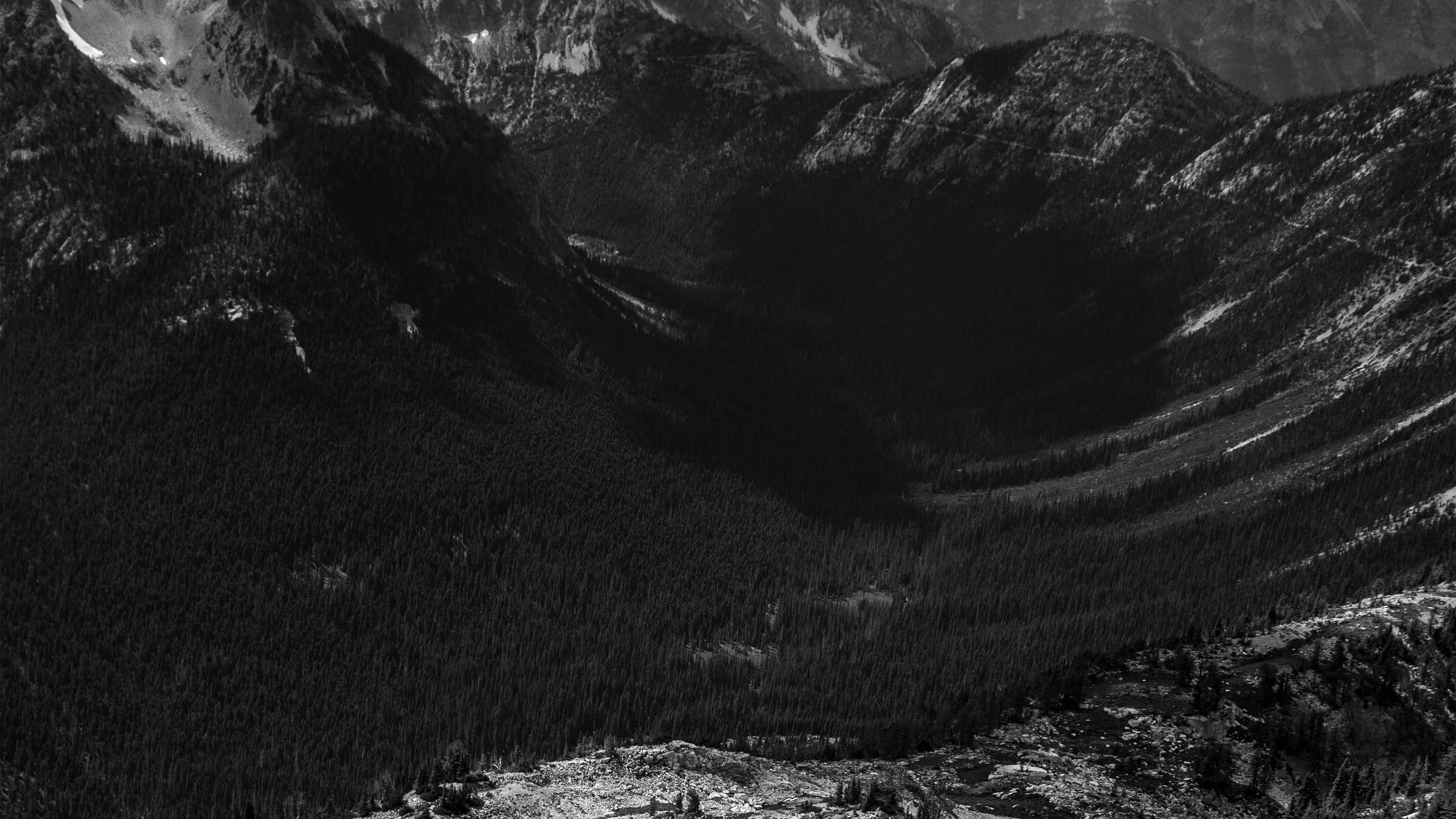 Black And White Desktop 4k Nature Wallpapers Wallpaper Cave