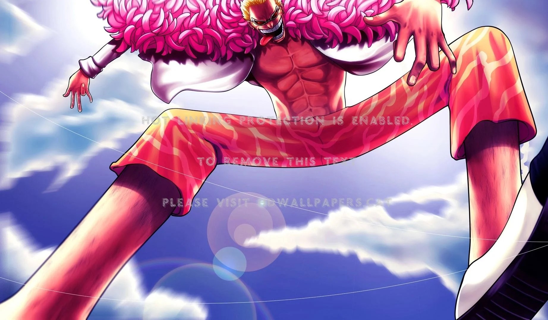 Dressrosa Wallpapers Wallpaper Cave