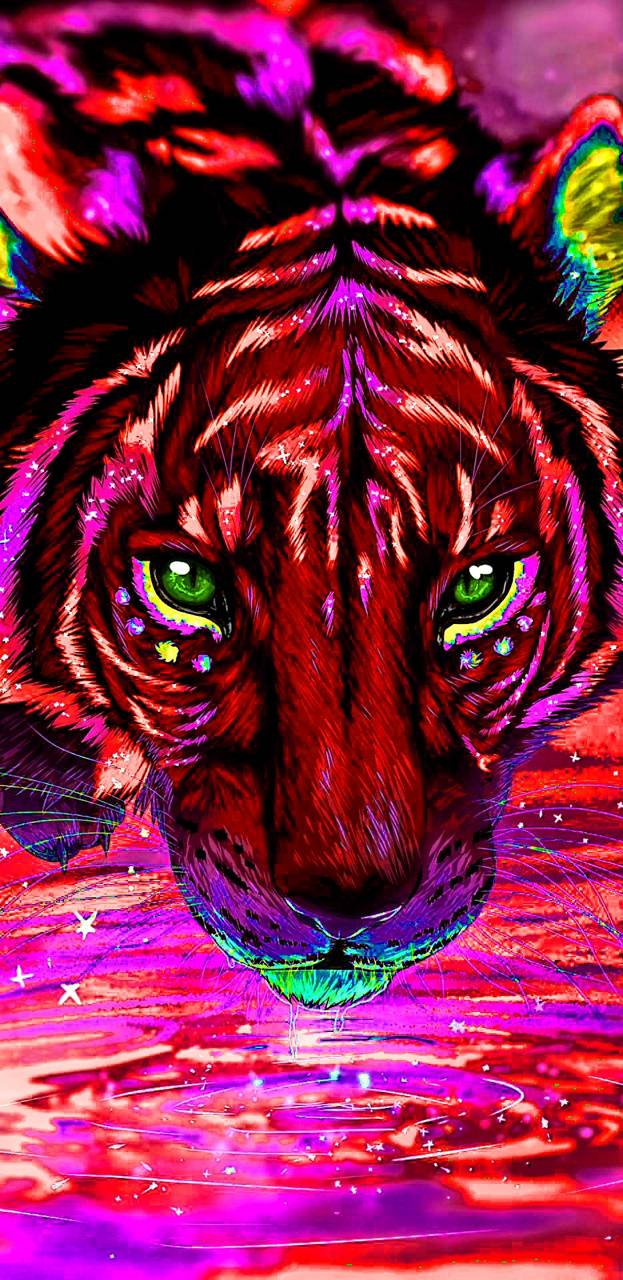 Rainbow Tiger Wallpapers Wallpaper Cave